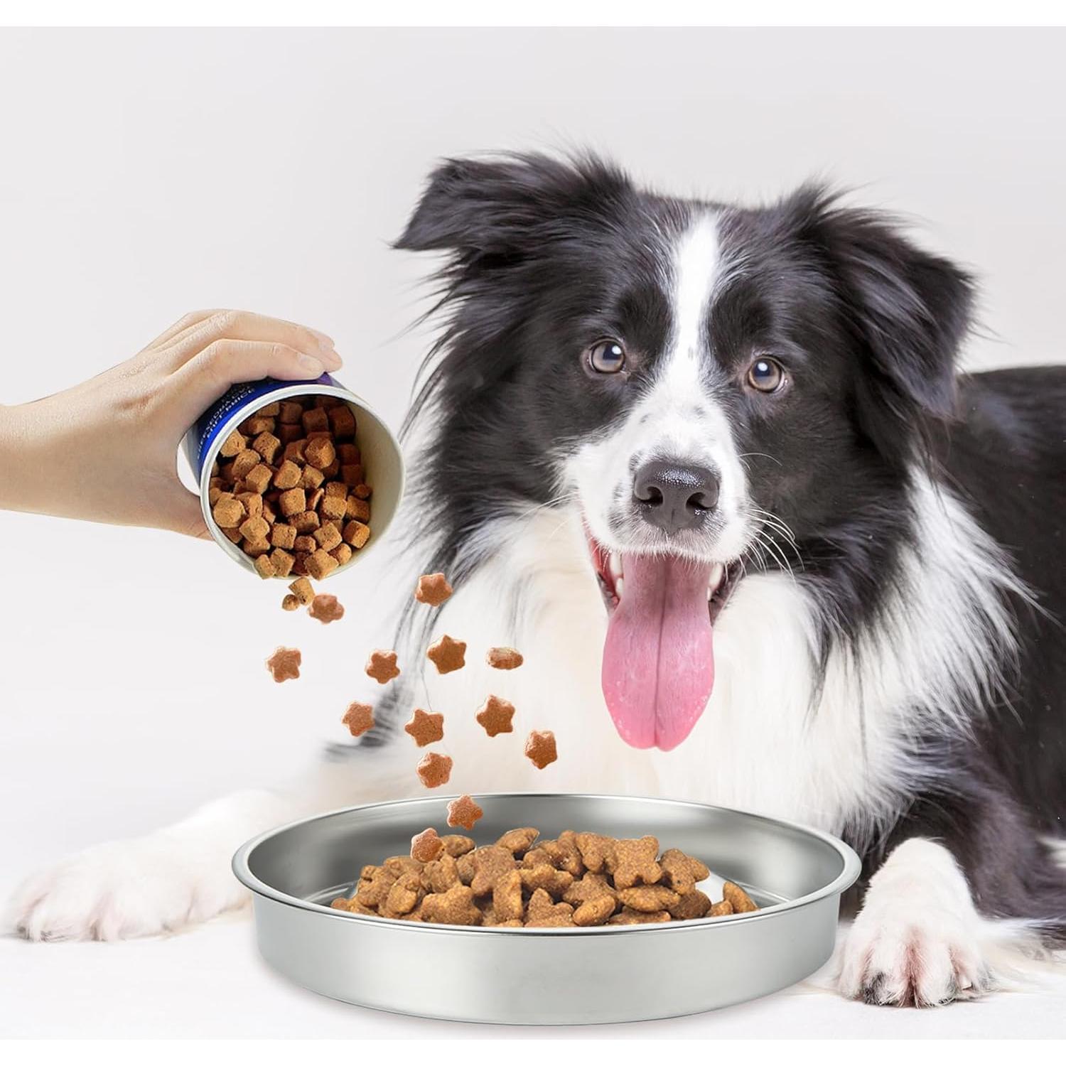 Cuenco Antideslizante para Perros LDXDRU 21.8cm Acero Inoxidable