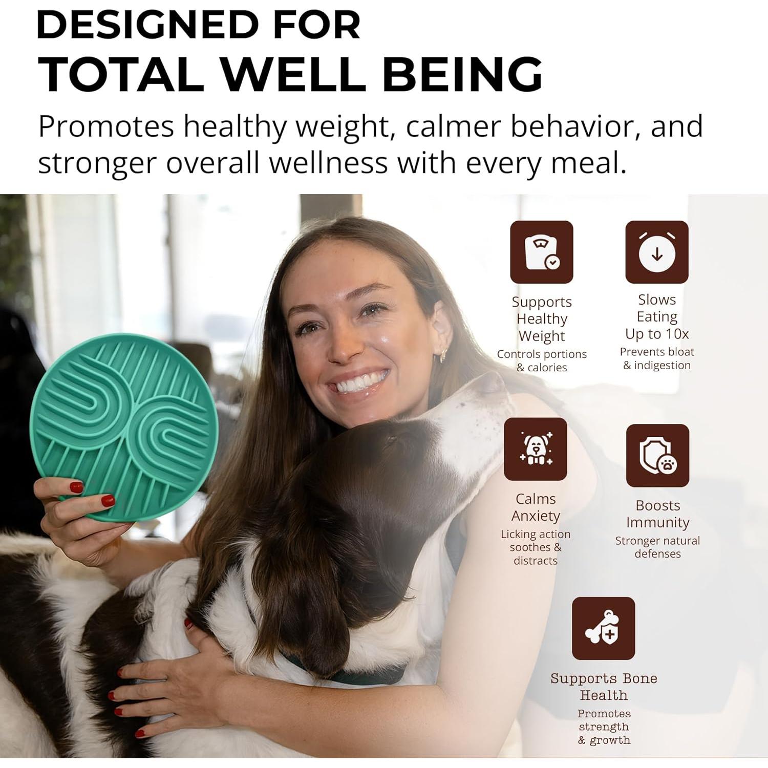 Cuenco de Alimentación Lenta para Perros ABC Corp Salvia 1-Pack