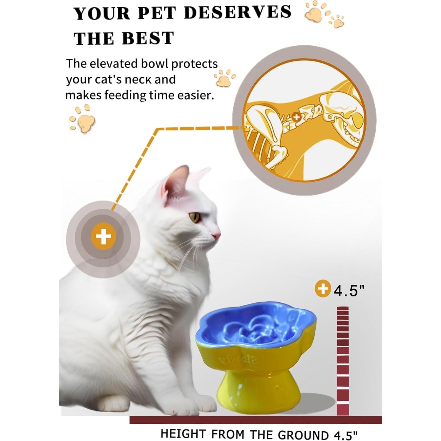 Tazón Elevado de Cerámica Aquainno para Gatos 14.73 cm Azul