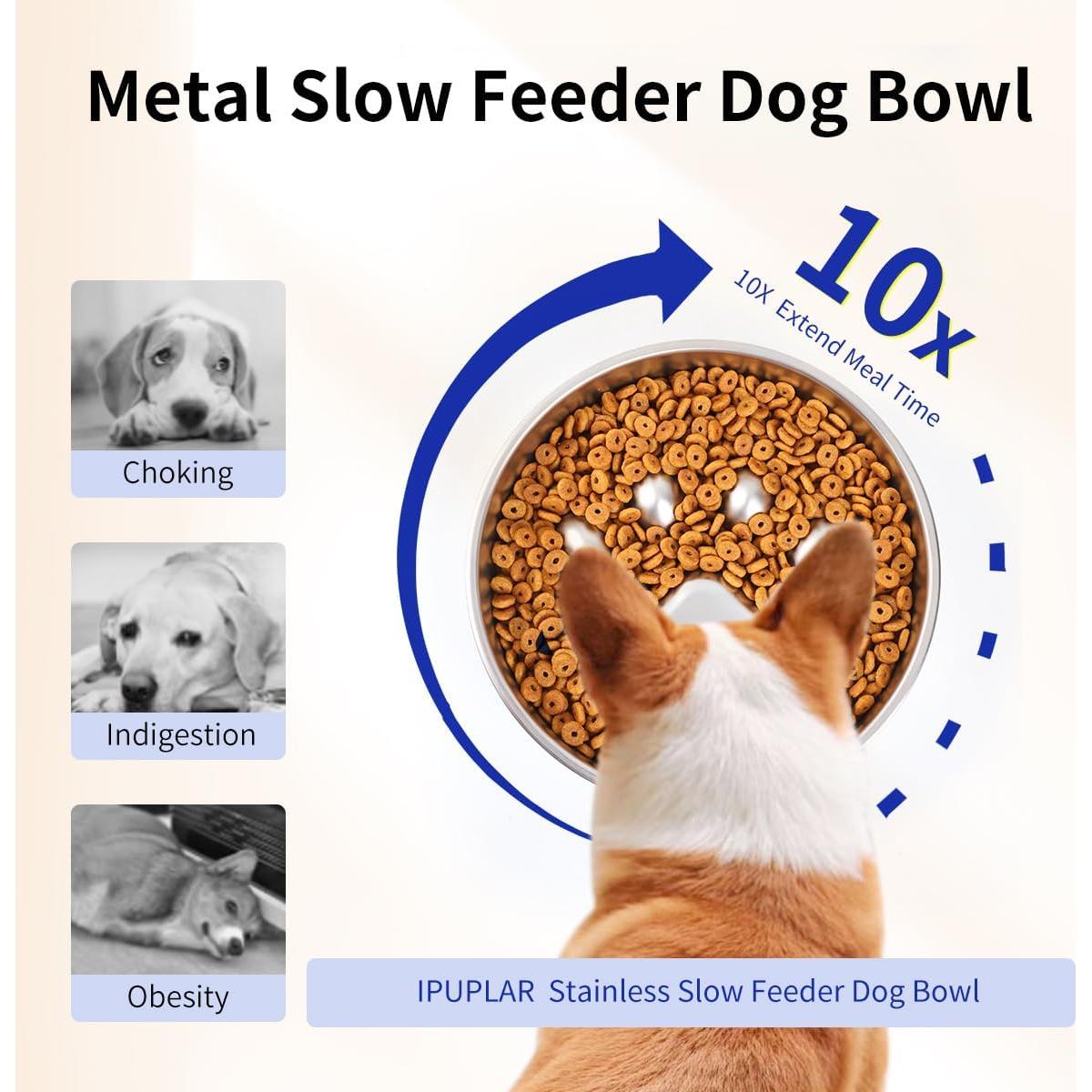 Cuenco para Perros de Alimentación Lenta IPUPLAR 2-4 Tazas Acero Inoxidable