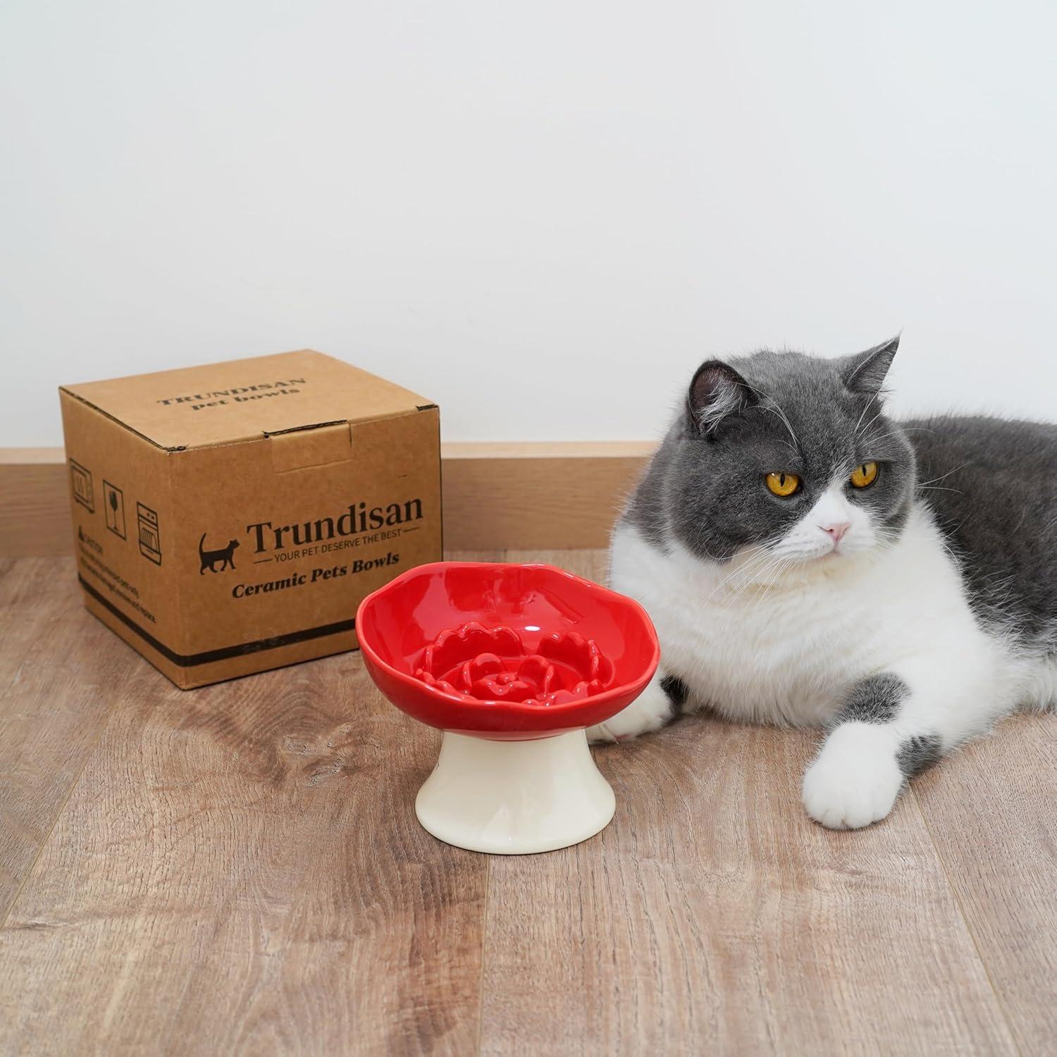 Cuenco de Cerámica Elevado para Gatos y Perros Pequeños - Rojo Rubí