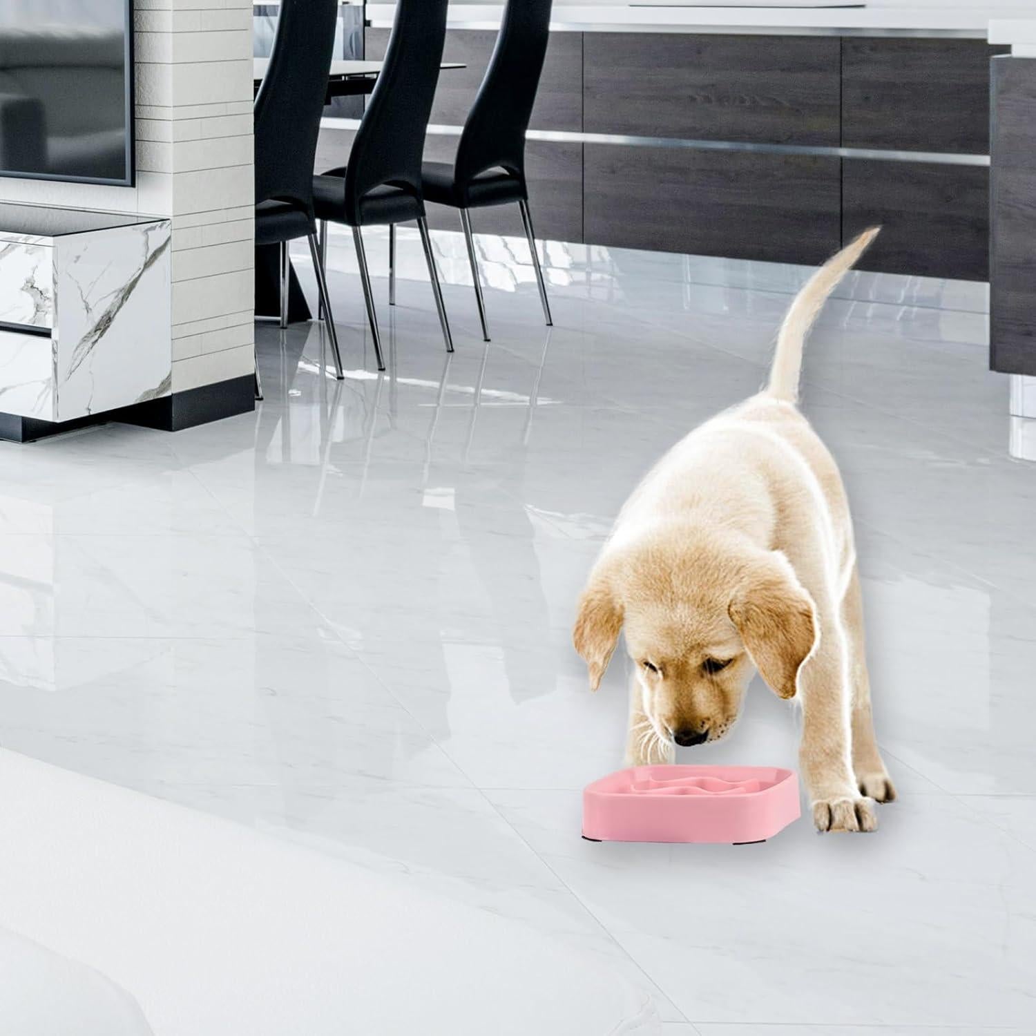 Cuencos de Comida Lenta Jaczora para Perros y Gatos - 2 Pack Rosa