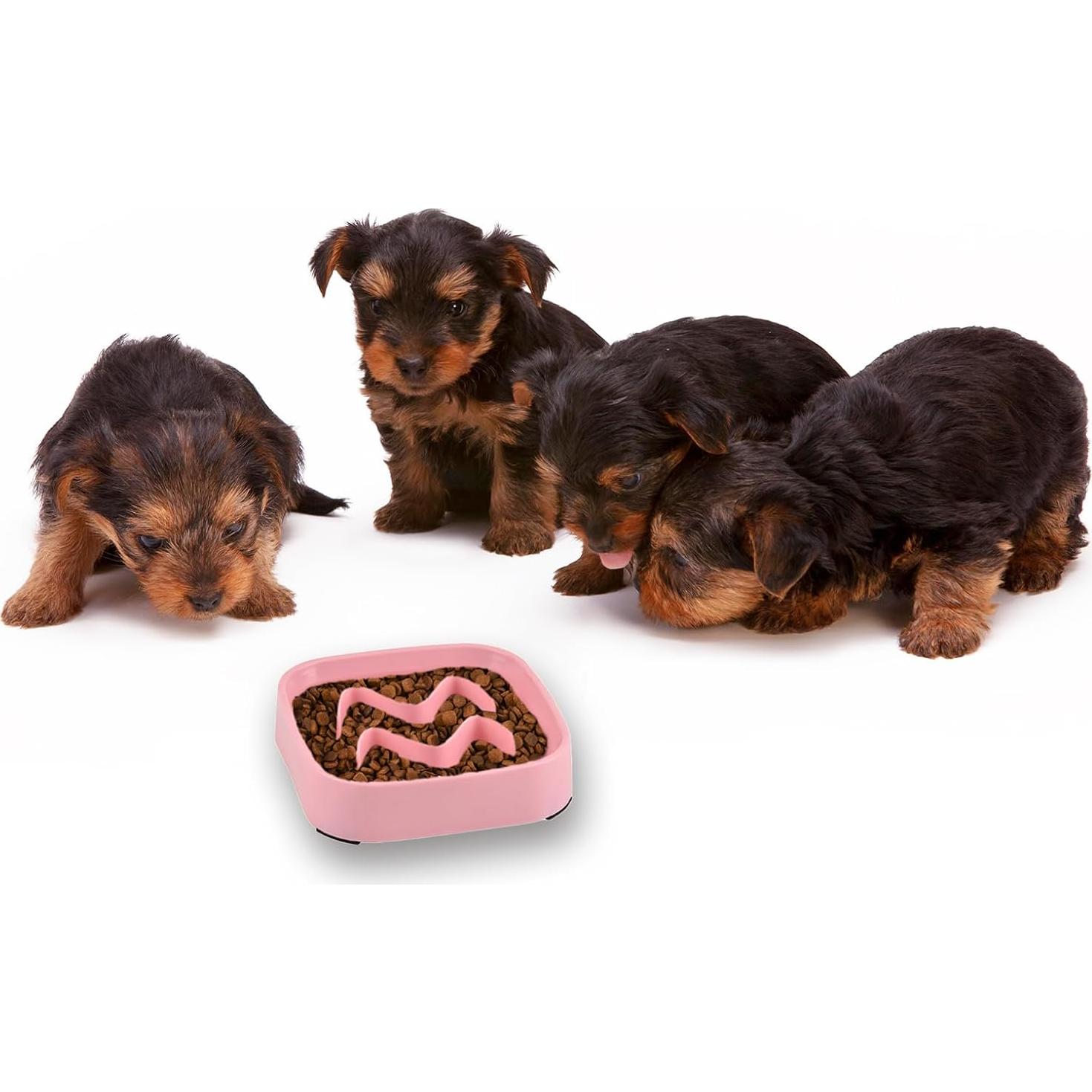 Cuencos de Comida Lenta Jaczora para Perros y Gatos - 2 Pack Rosa