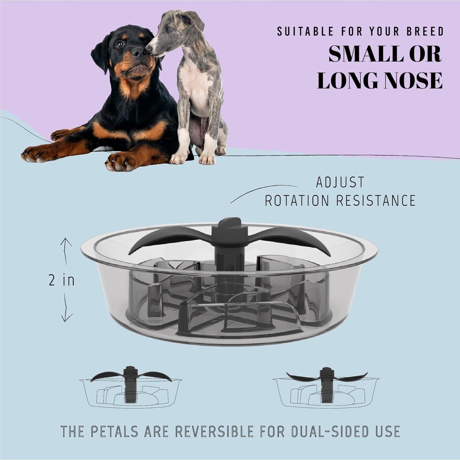 Tazón de Comida Lento AVERYDAY 2.5 Tazas para Perros Grandes