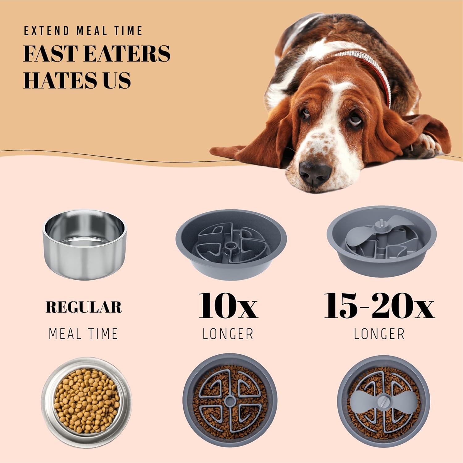 Tazón de Comida Lento AVERYDAY 2.5 Tazas para Perros Grandes