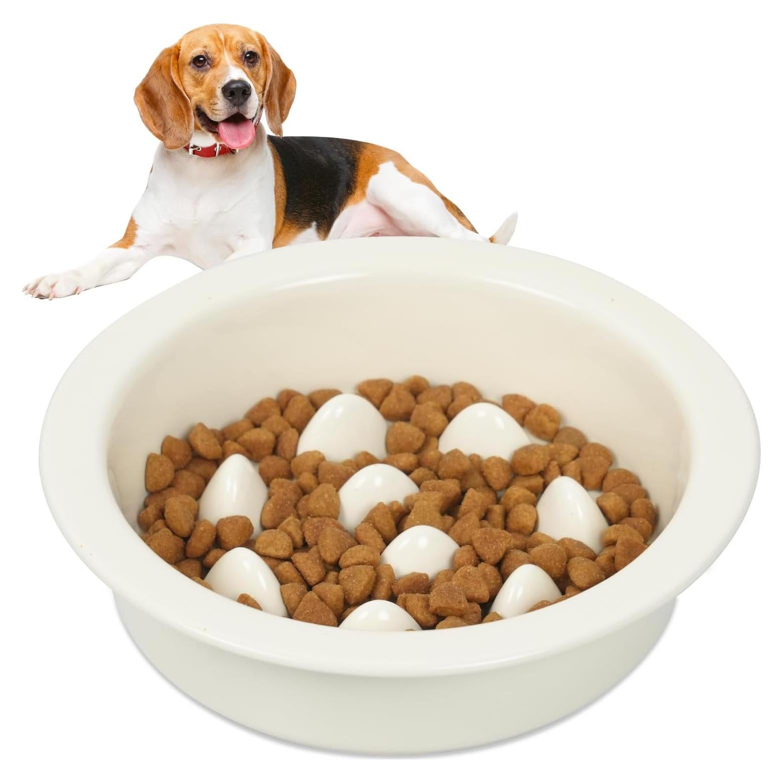 Cuenco de Cerámica Antiahogo PETVENTURE 16 cm para Perros y Gatos