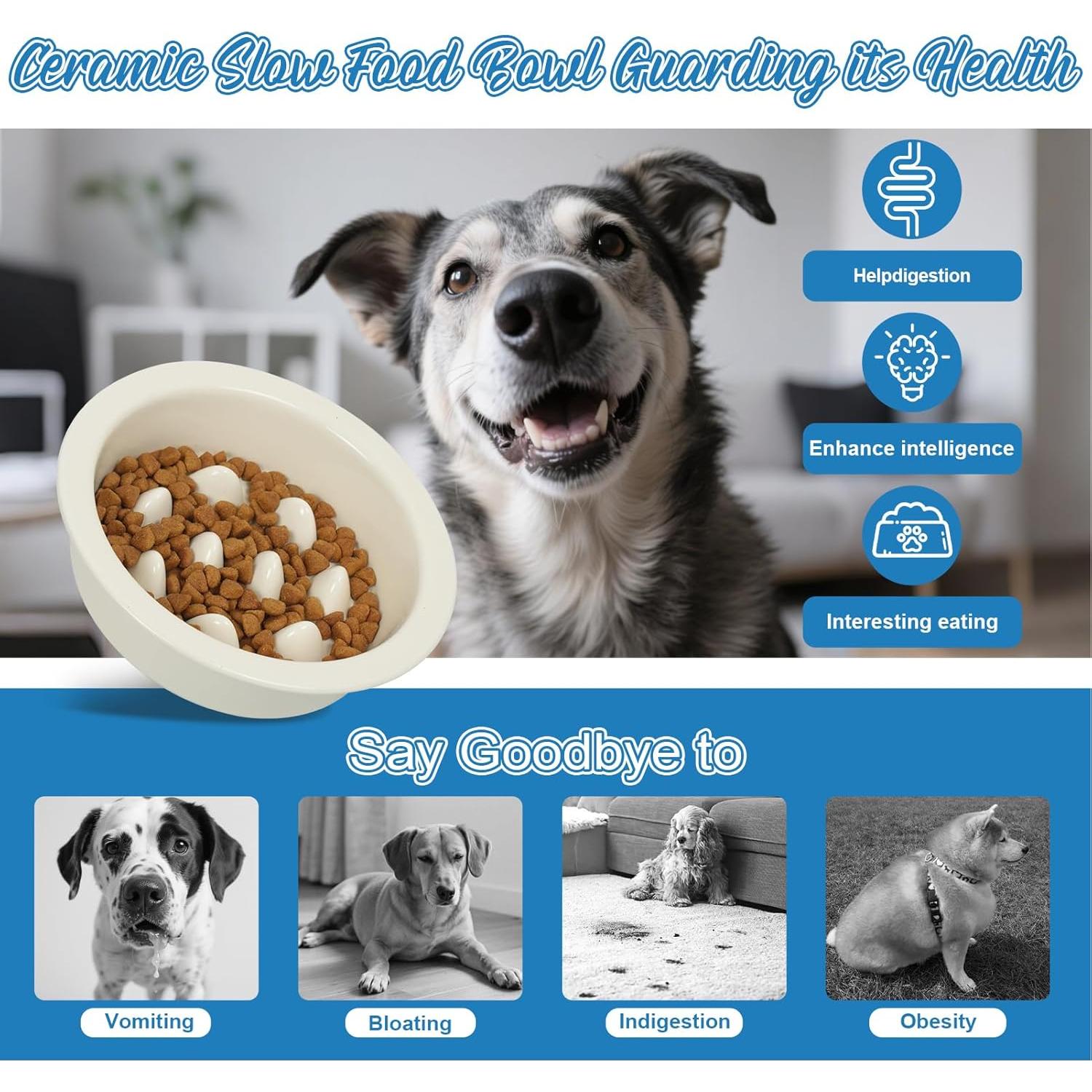 Cuenco de Cerámica Antiahogo PETVENTURE 16 cm para Perros y Gatos