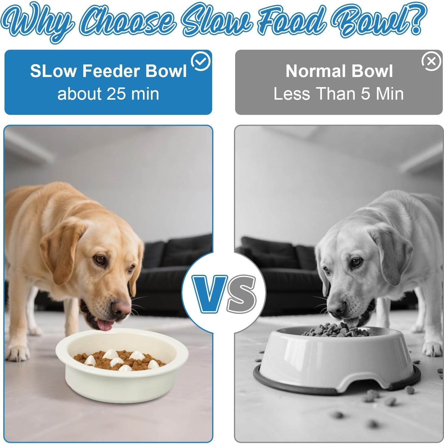 Cuenco de Cerámica Antiahogo PETVENTURE 16 cm para Perros y Gatos