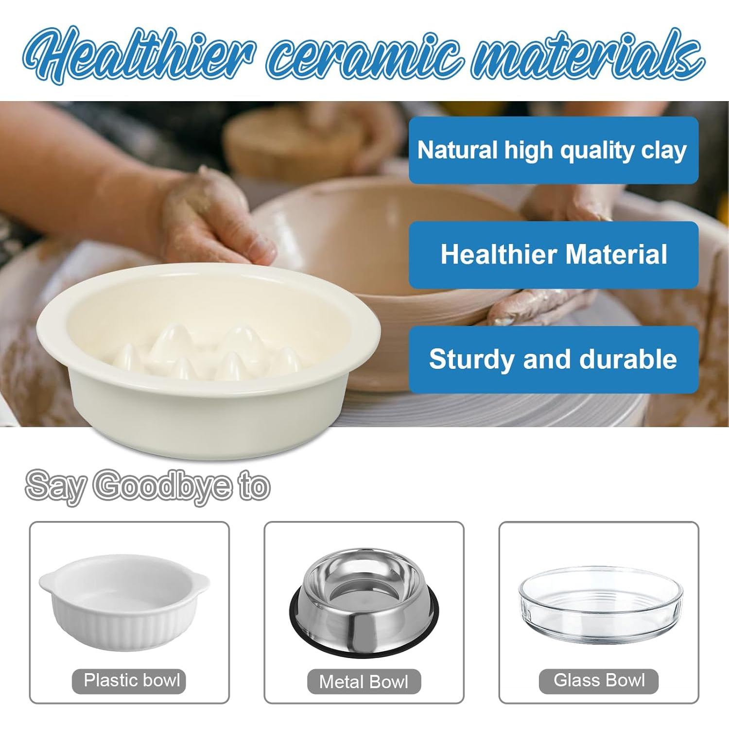 Cuenco de Cerámica Antiahogo PETVENTURE 16 cm para Perros y Gatos