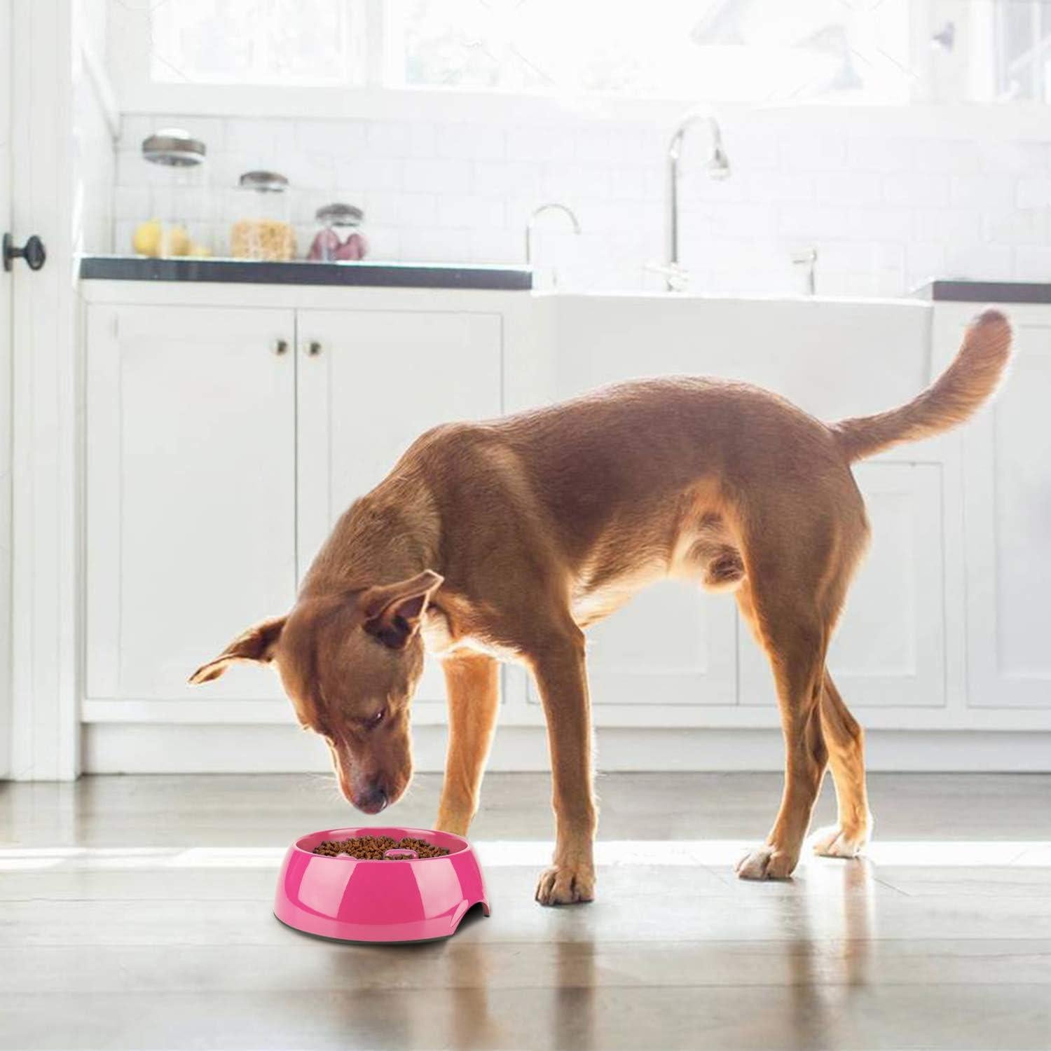 Tazón de Comida Lenta Flexzion 600ML Antideslizante para Perros