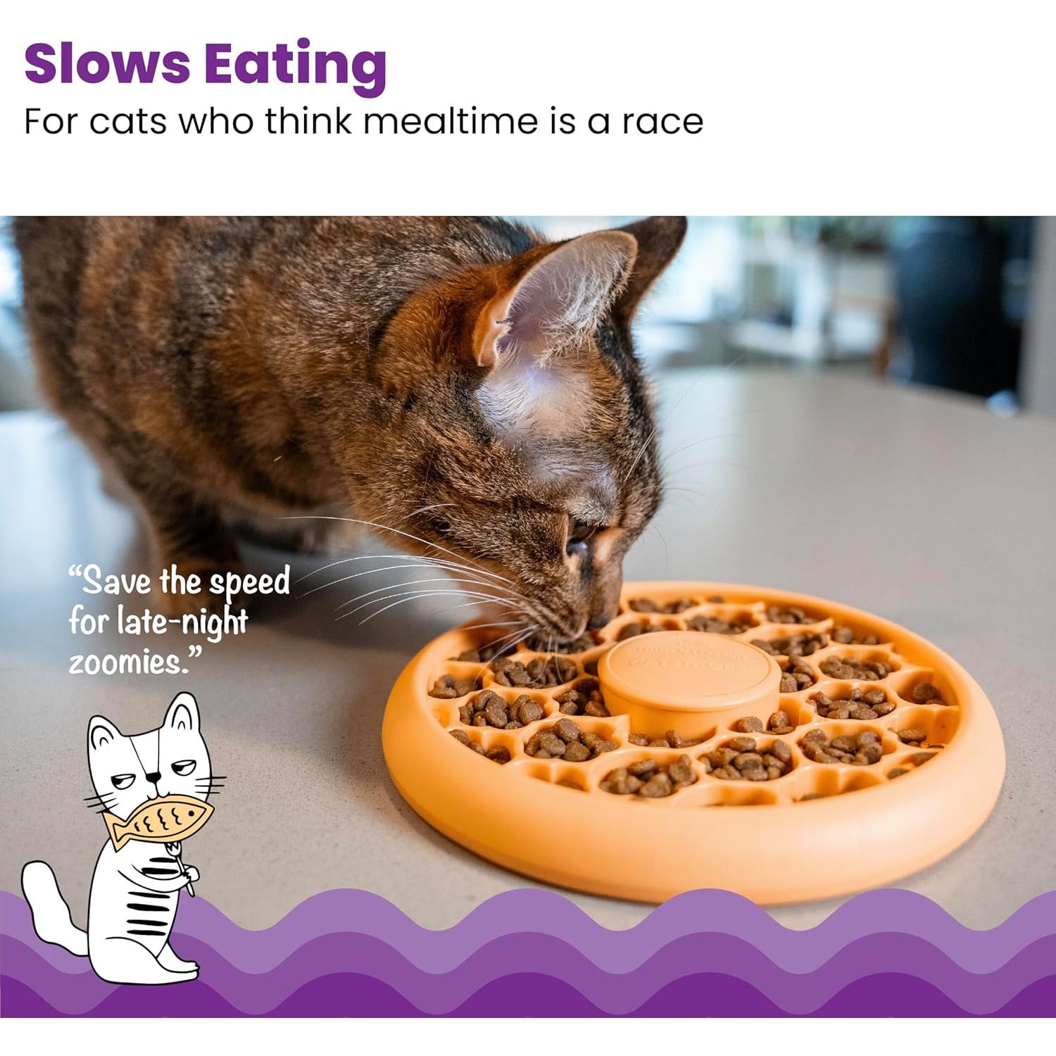 Tazón de Comida Lenta para Gatos Catstages, 1/2 Taza, Naranja