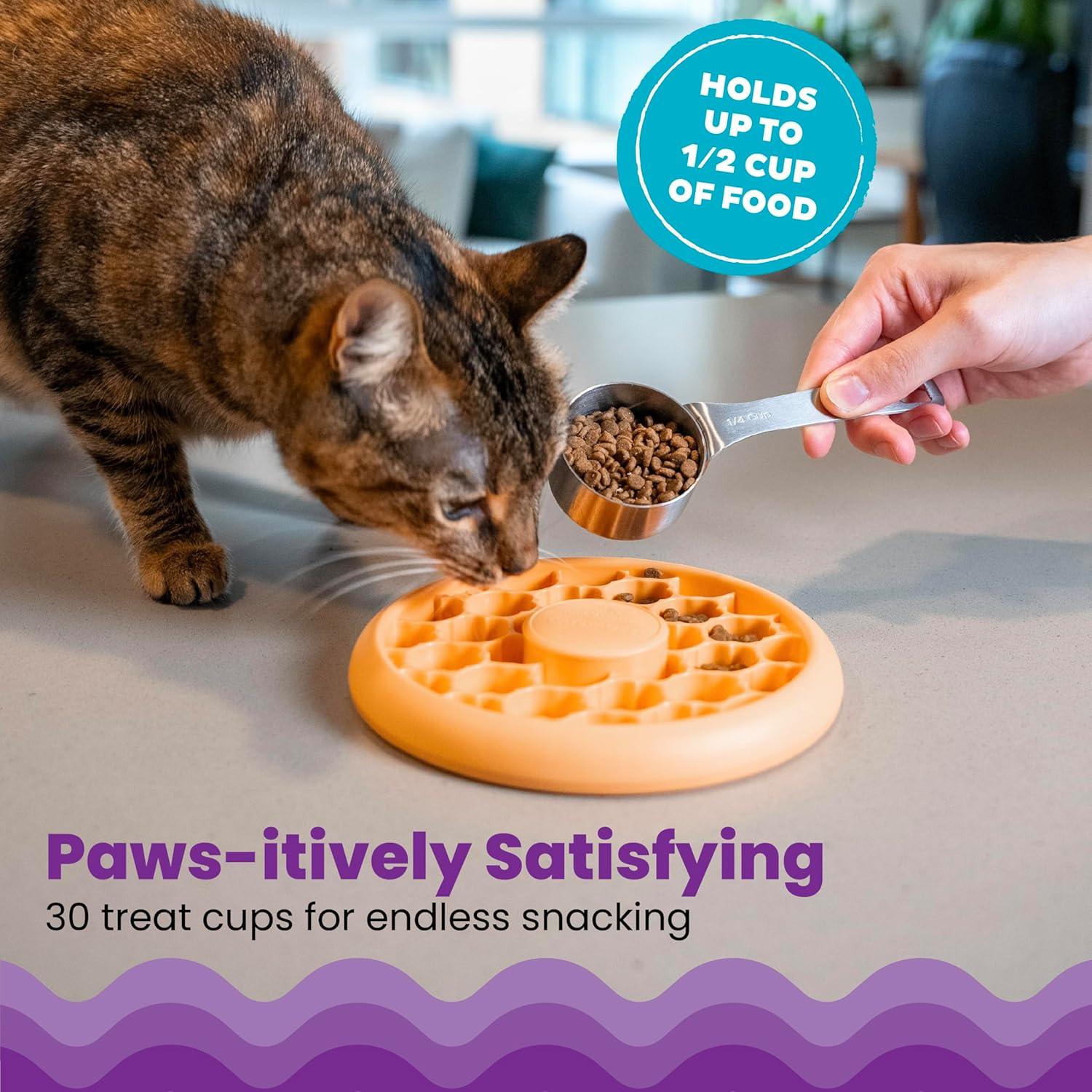 Tazón de Comida Lenta para Gatos Catstages, 1/2 Taza, Naranja