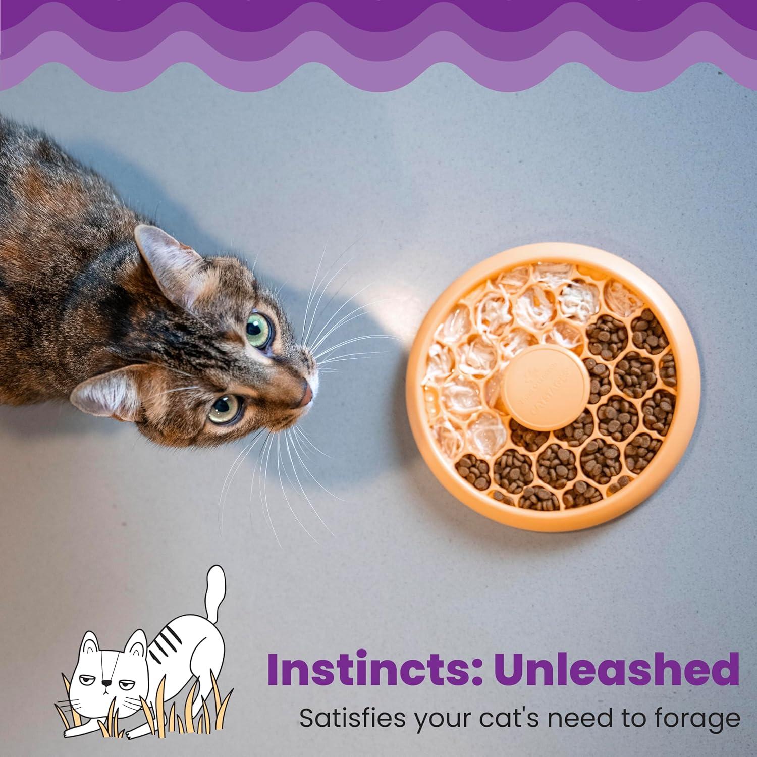 Tazón de Comida Lenta para Gatos Catstages, 1/2 Taza, Naranja