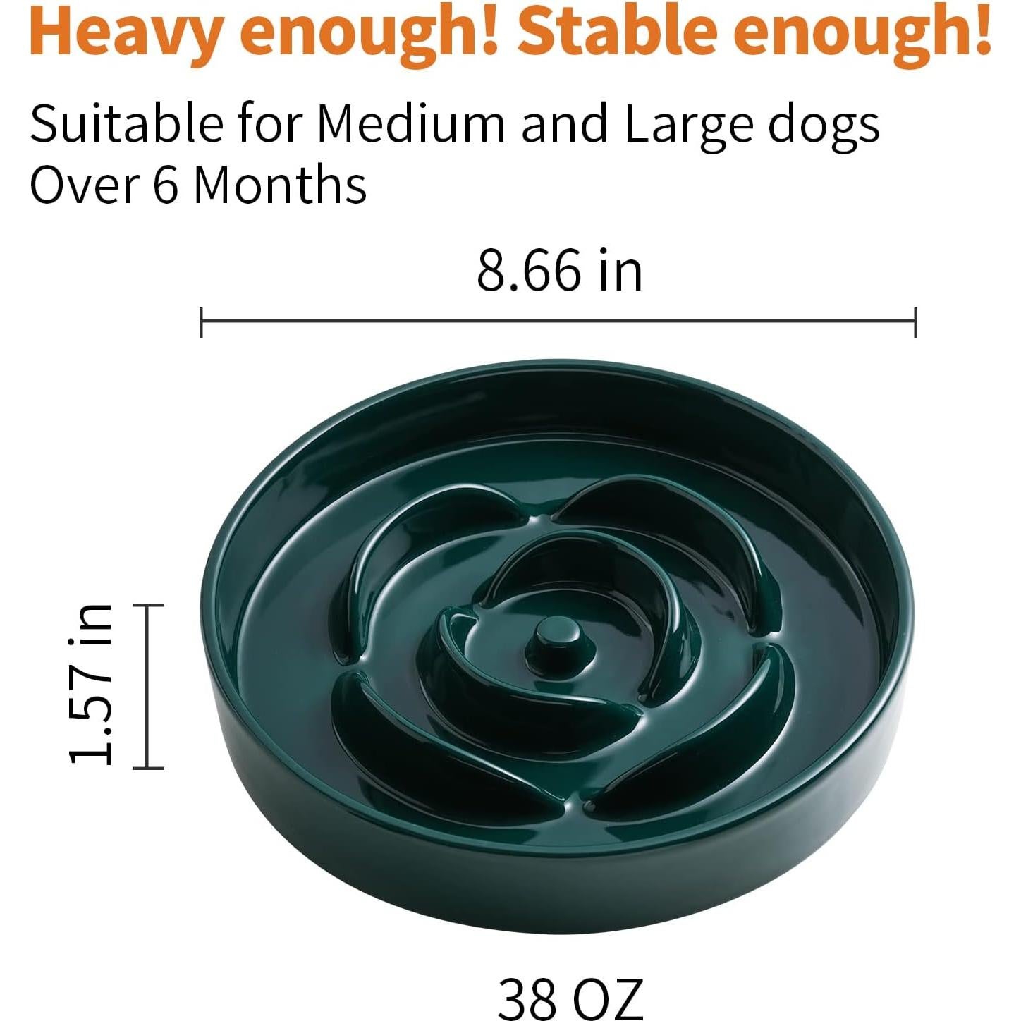 Cuenco Elevado para Perros Addogyy Verde Cerámica 22 cm