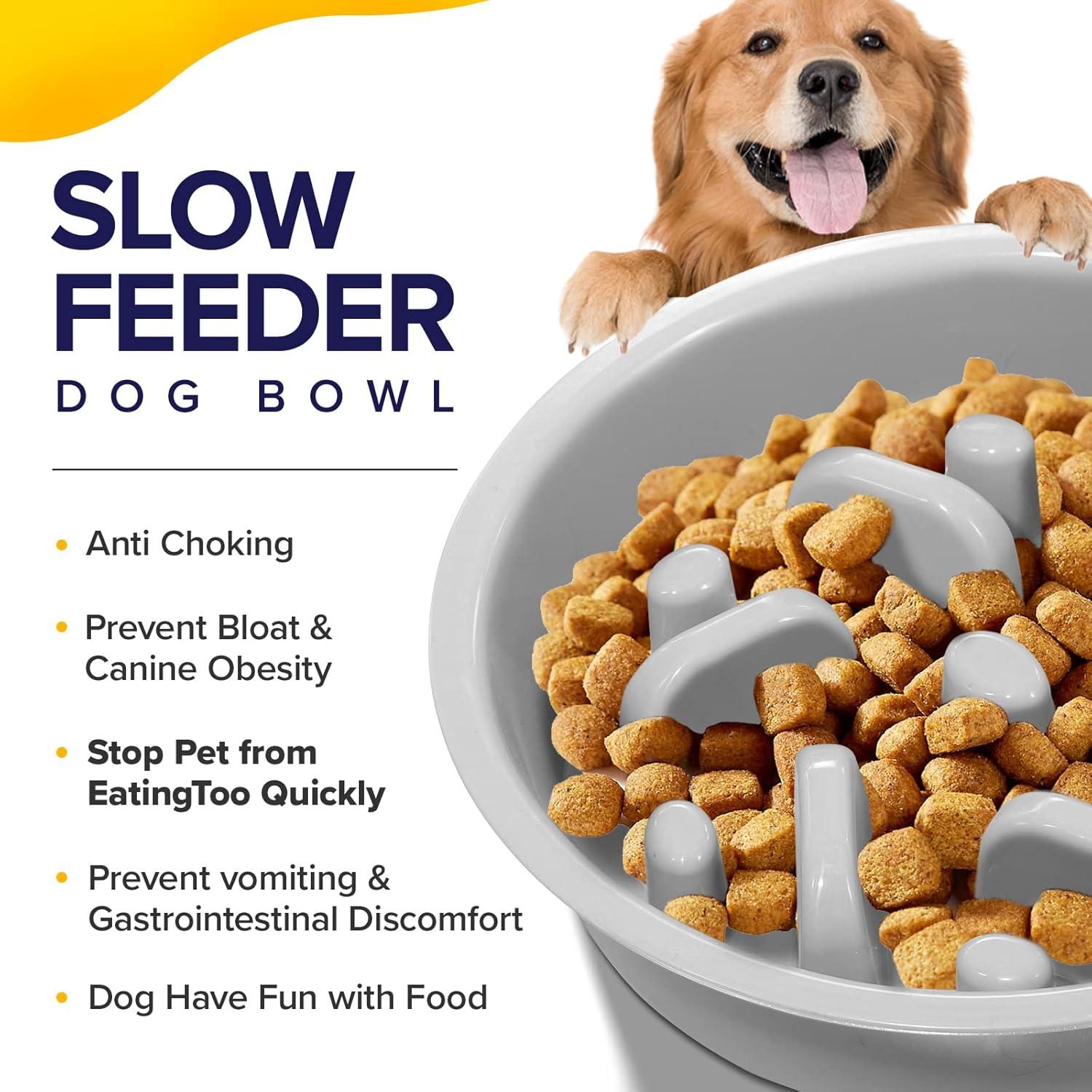 Cuencos Elevados para Perros Ciconira con Alimentador Lento 1.24L