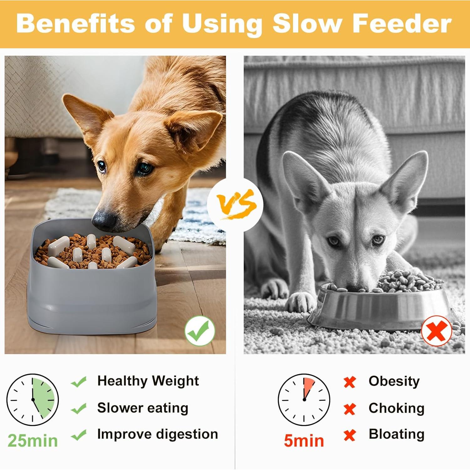 Plato de Comida Lenta Sunhoo para Perros Grandes y Medianos