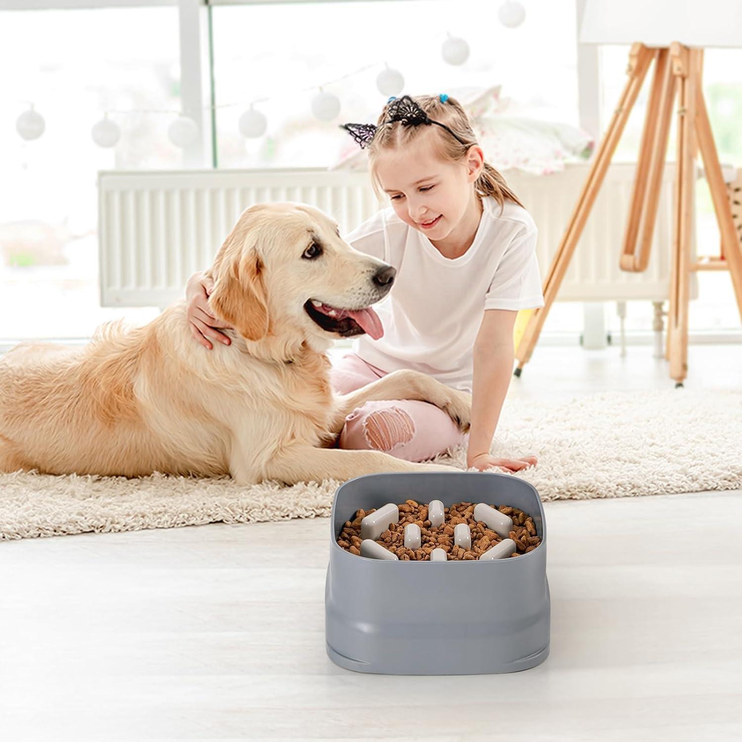 Plato de Comida Lenta Sunhoo para Perros Grandes y Medianos