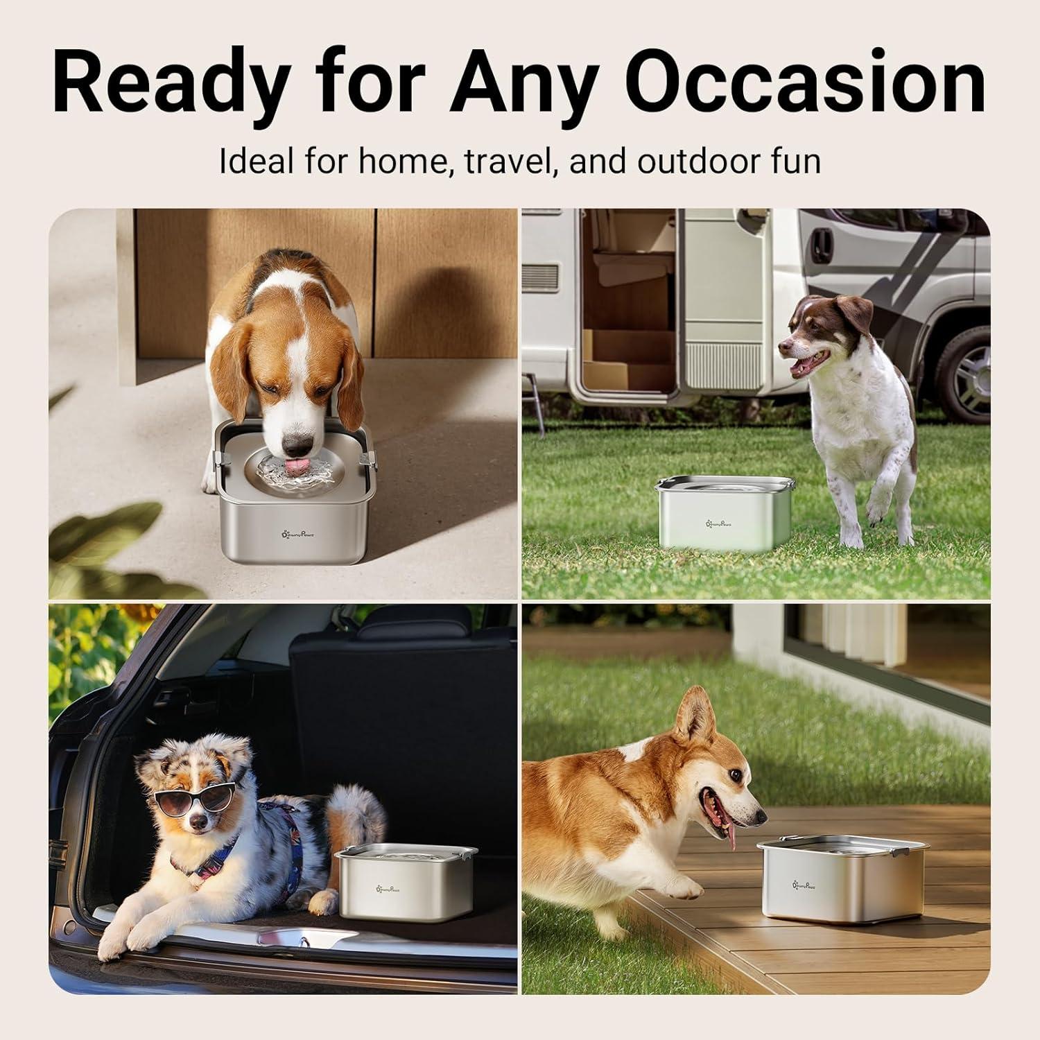 Cuenco de Agua Sin Derrames DownyPaws 3L Acero Inoxidable