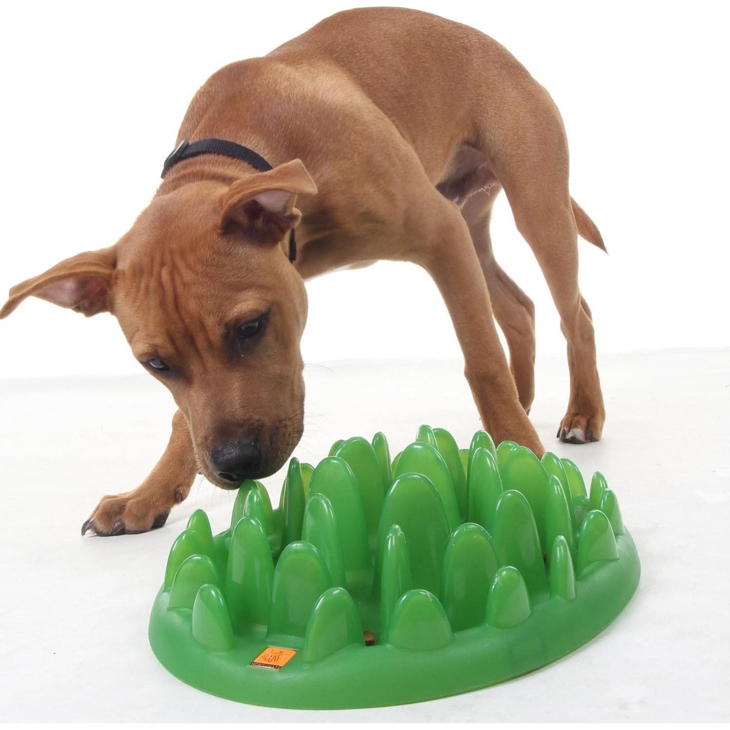 Comedero Interactivo Lento Grande Compañía de Animales