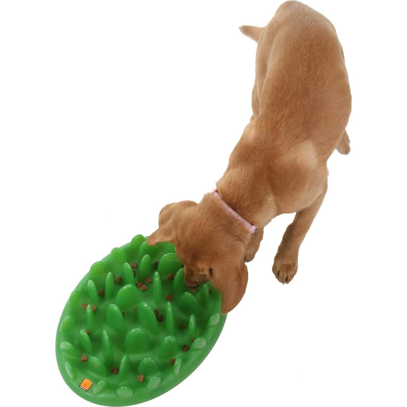 Comedero Interactivo Lento Grande Compañía de Animales