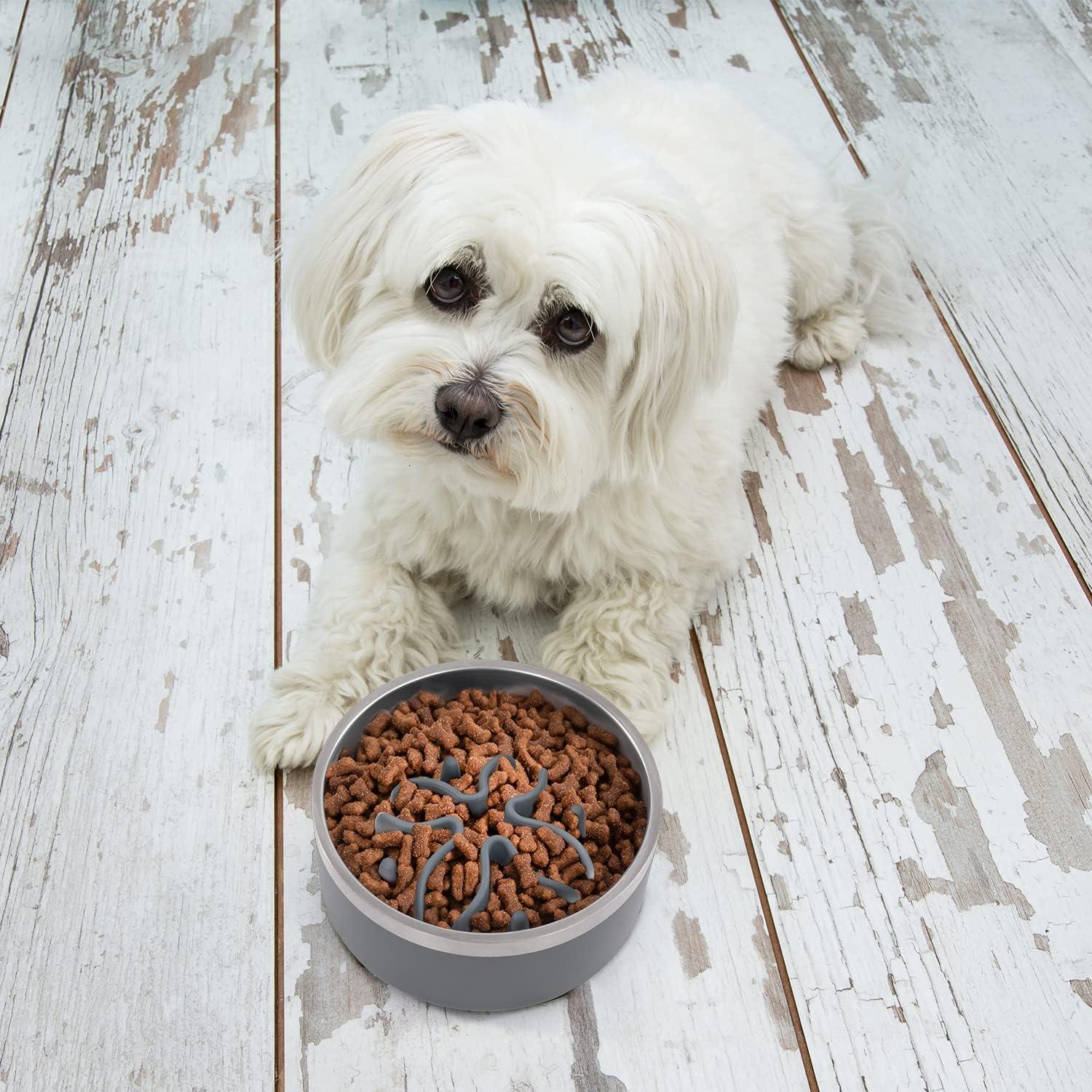 Inserto Comedero Lento Jaoul para Perros Pequeños 10 cm Gris