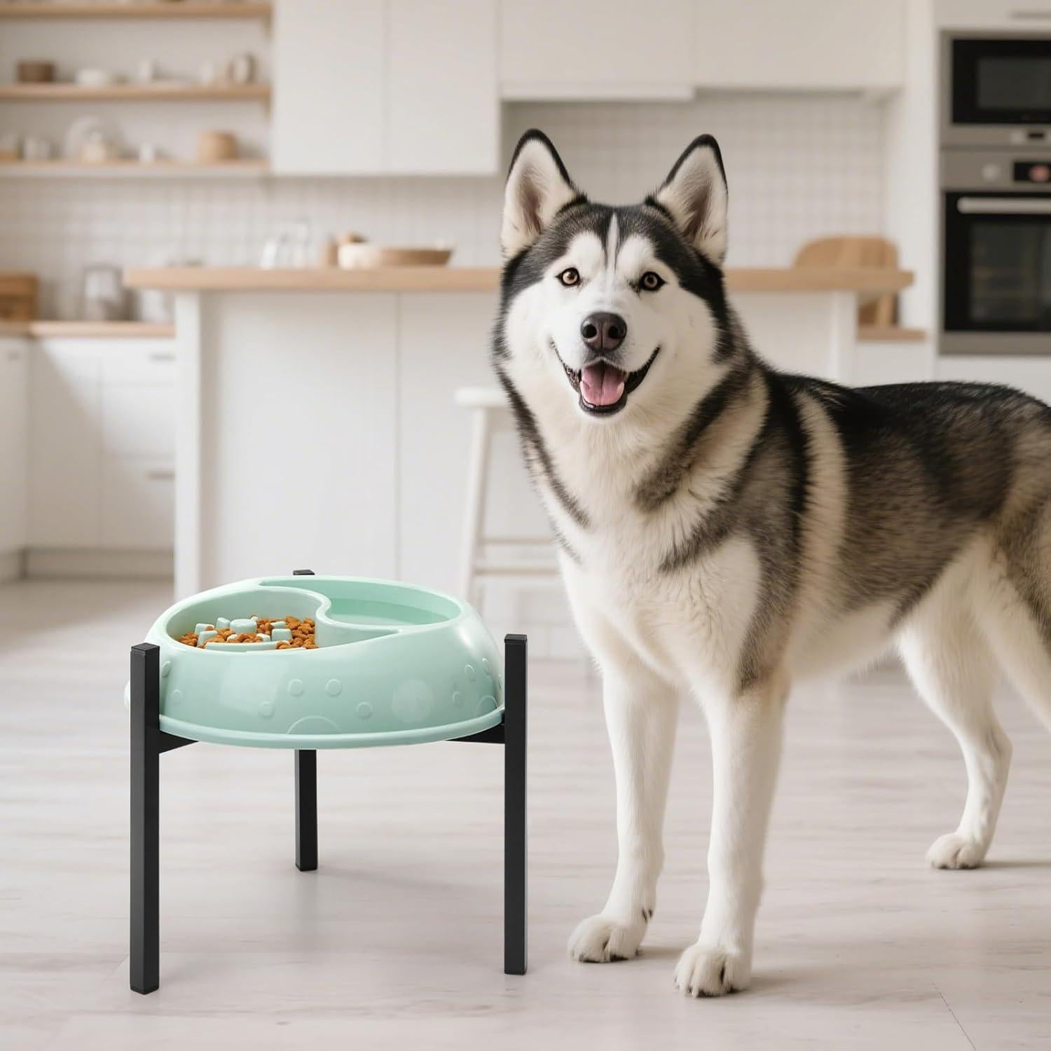 Soporte elevado para tazones de perro LOOBANI 24.8 cm ajustable