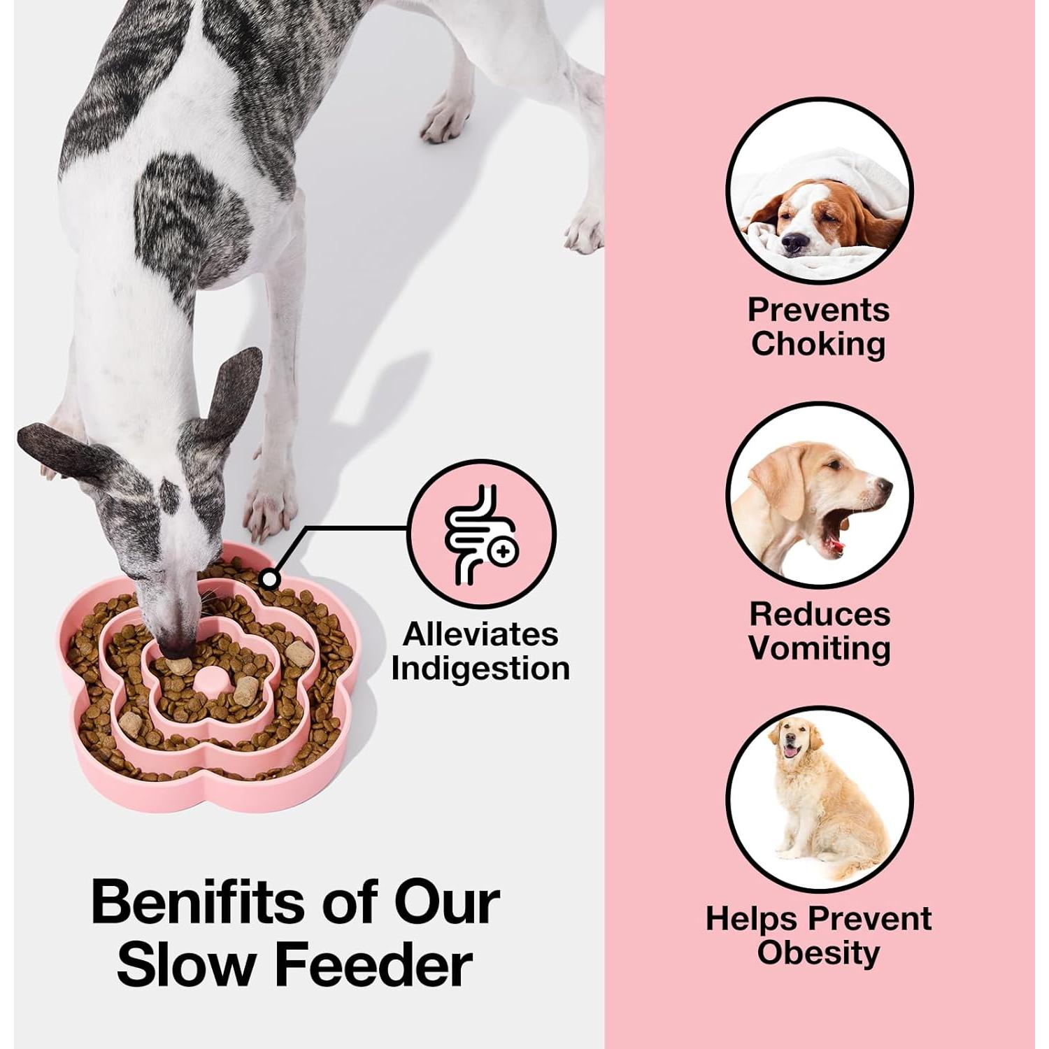 Cuenco de Alimentación Lenta VETRESKA Rosa 24.1 cm Silicona