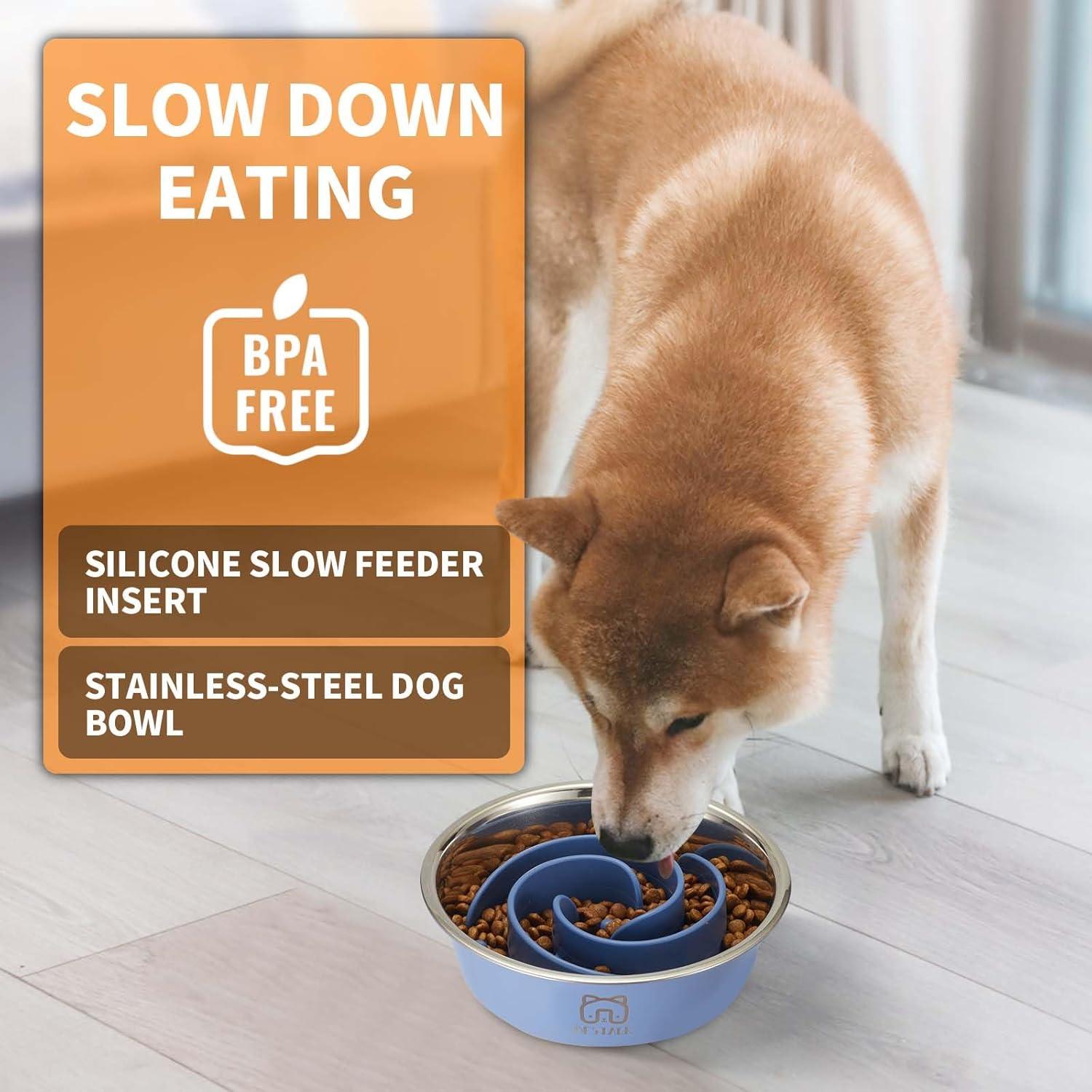 Cuenco para Perros 2-en-1 Bestalk Acero Inoxidable Antideslizante