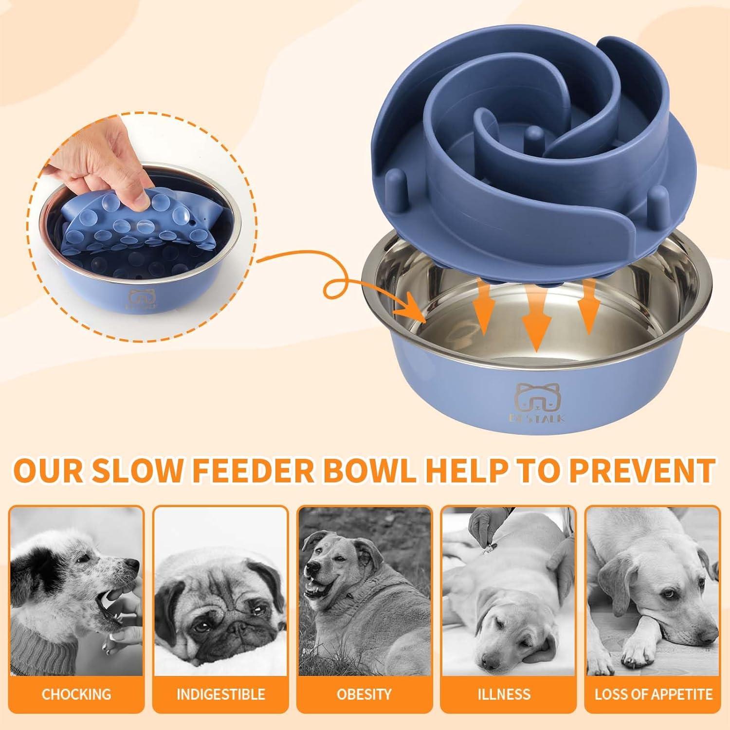 Cuenco para Perros 2-en-1 Bestalk Acero Inoxidable Antideslizante