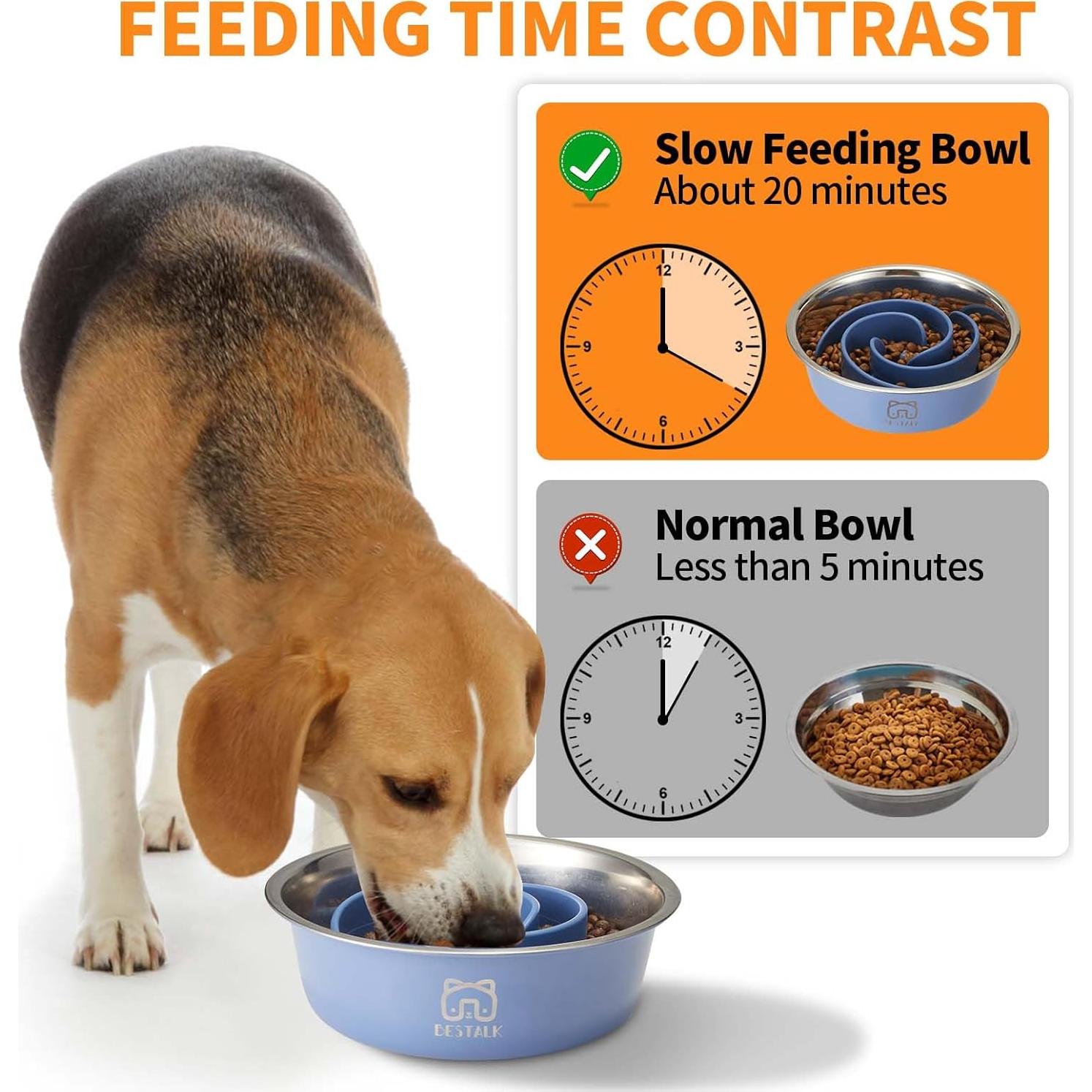 Cuenco para Perros 2-en-1 Bestalk Acero Inoxidable Antideslizante