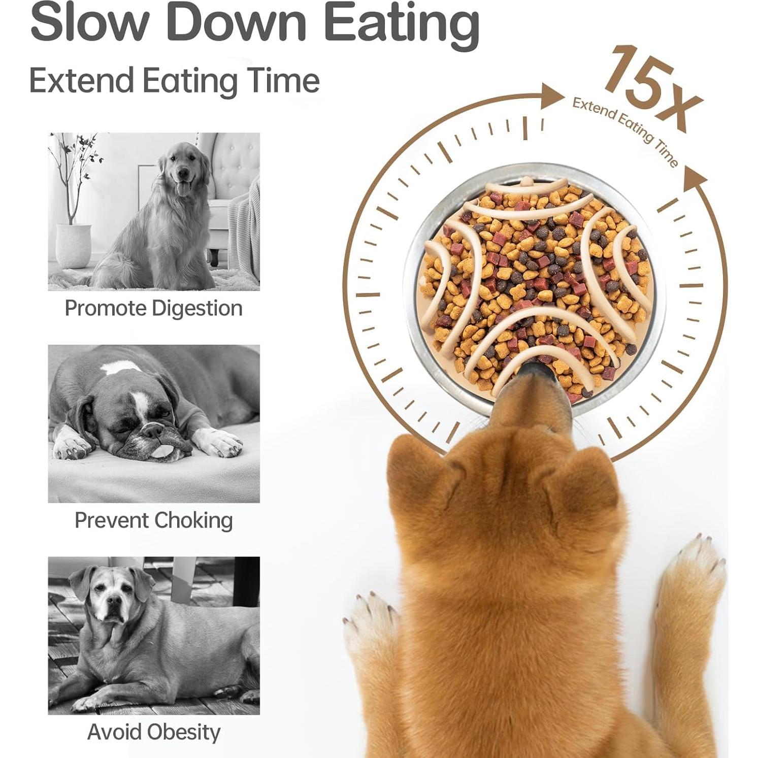 Inserto Antiahogo para Plato de Perro Stankeloko Verde/Blanco