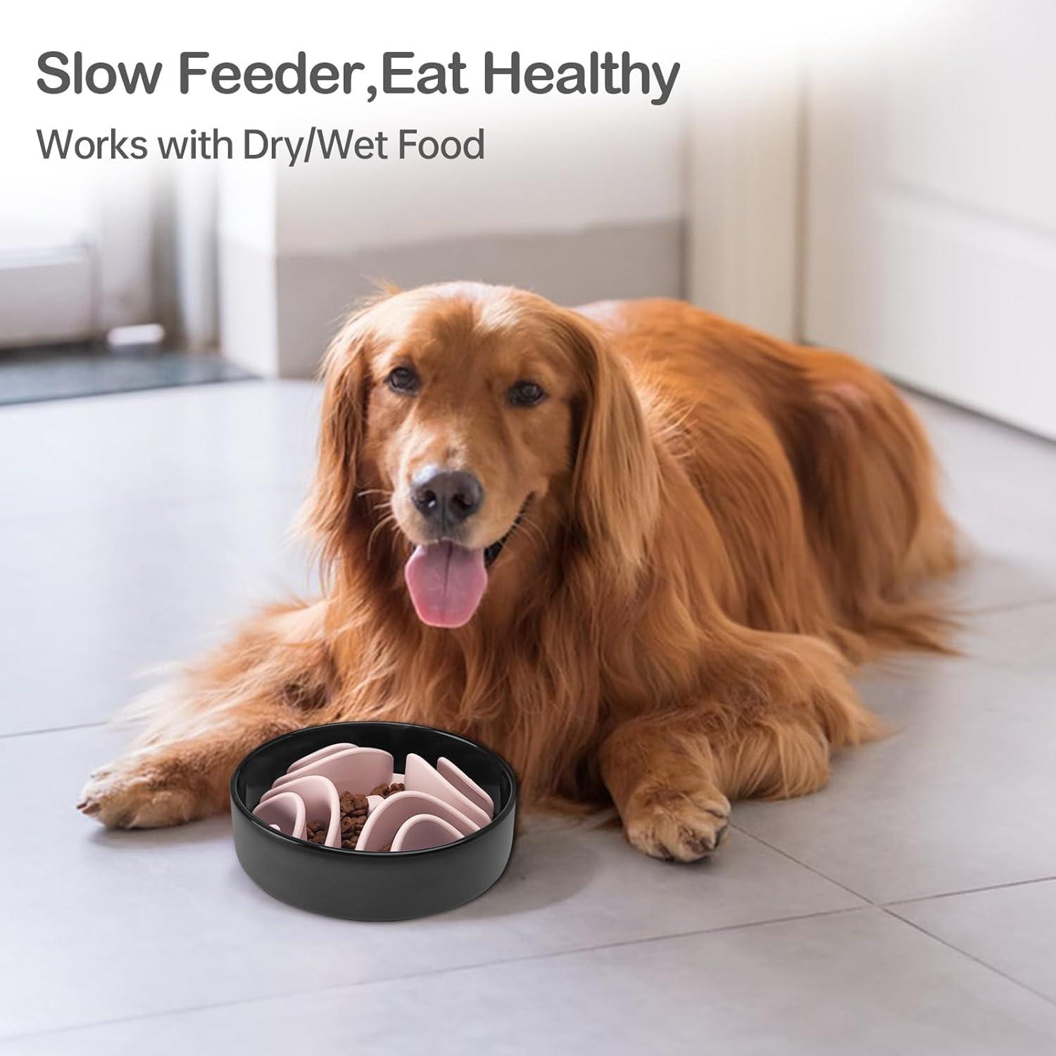 Inserto Antiahogo para Plato de Perro Stankeloko Verde/Blanco