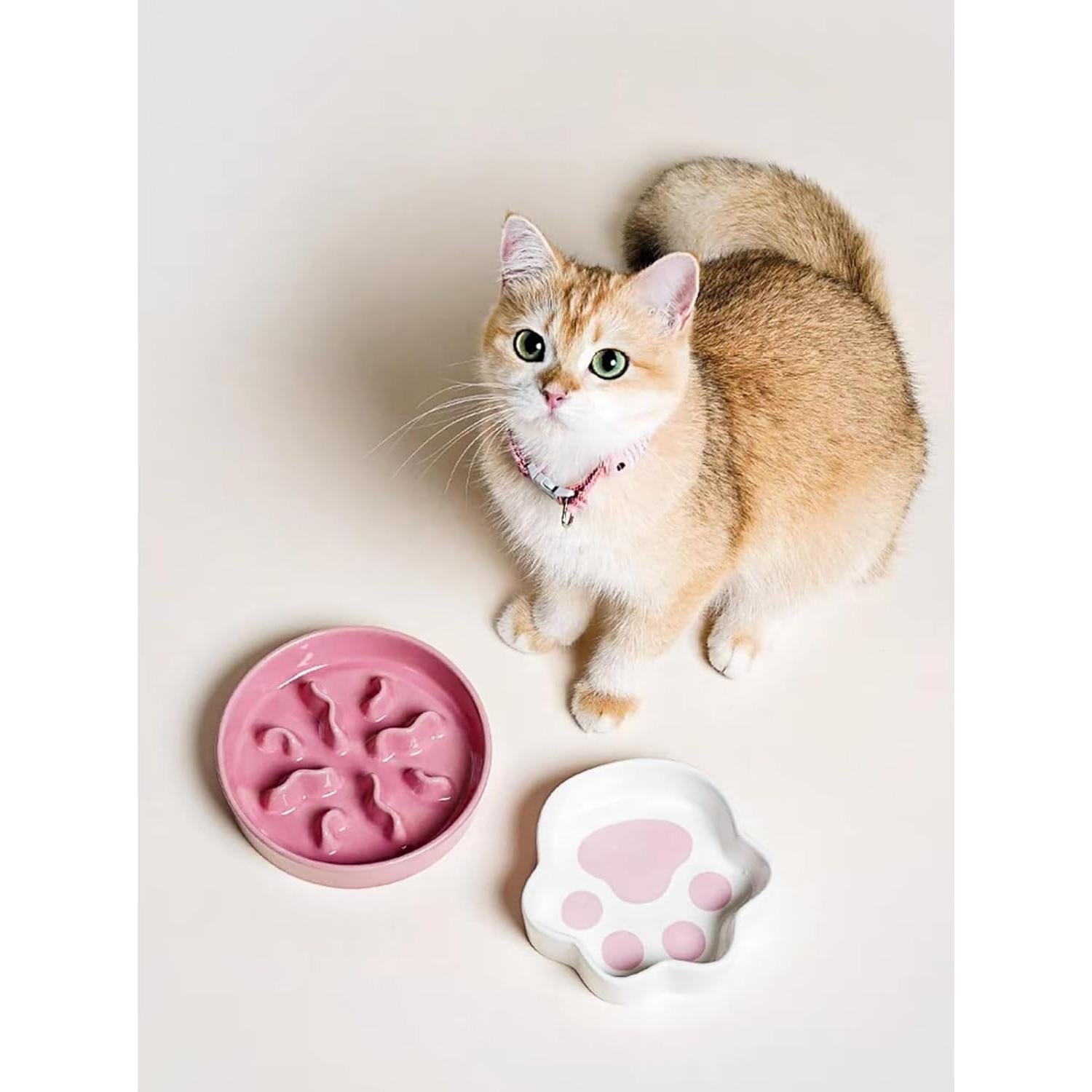 Cuenco de Cerámica Antideslizante LE TAUCI PET 14cm Rosa