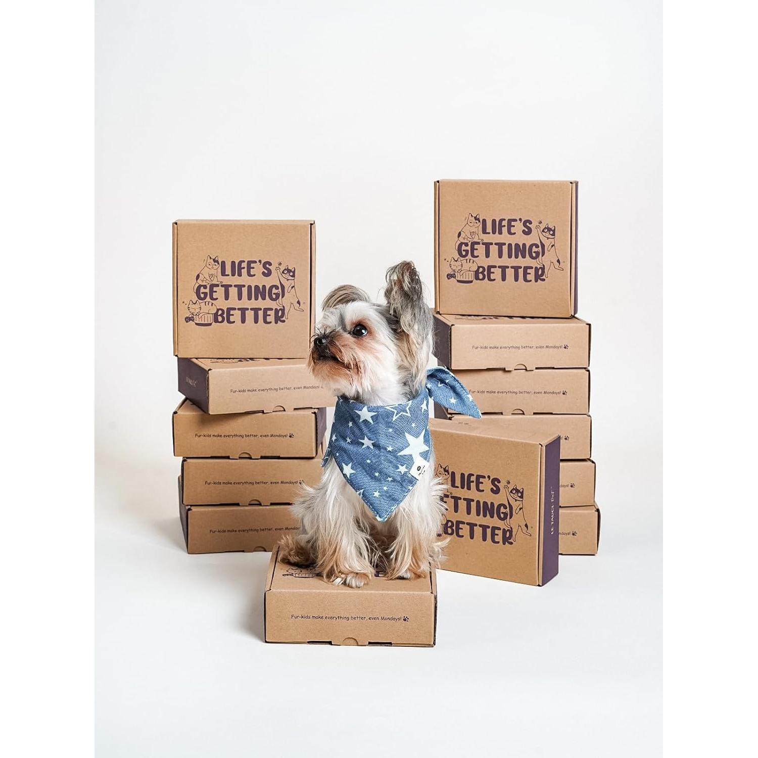 Cuenco de Cerámica Antideslizante LE TAUCI PET 14cm Rosa