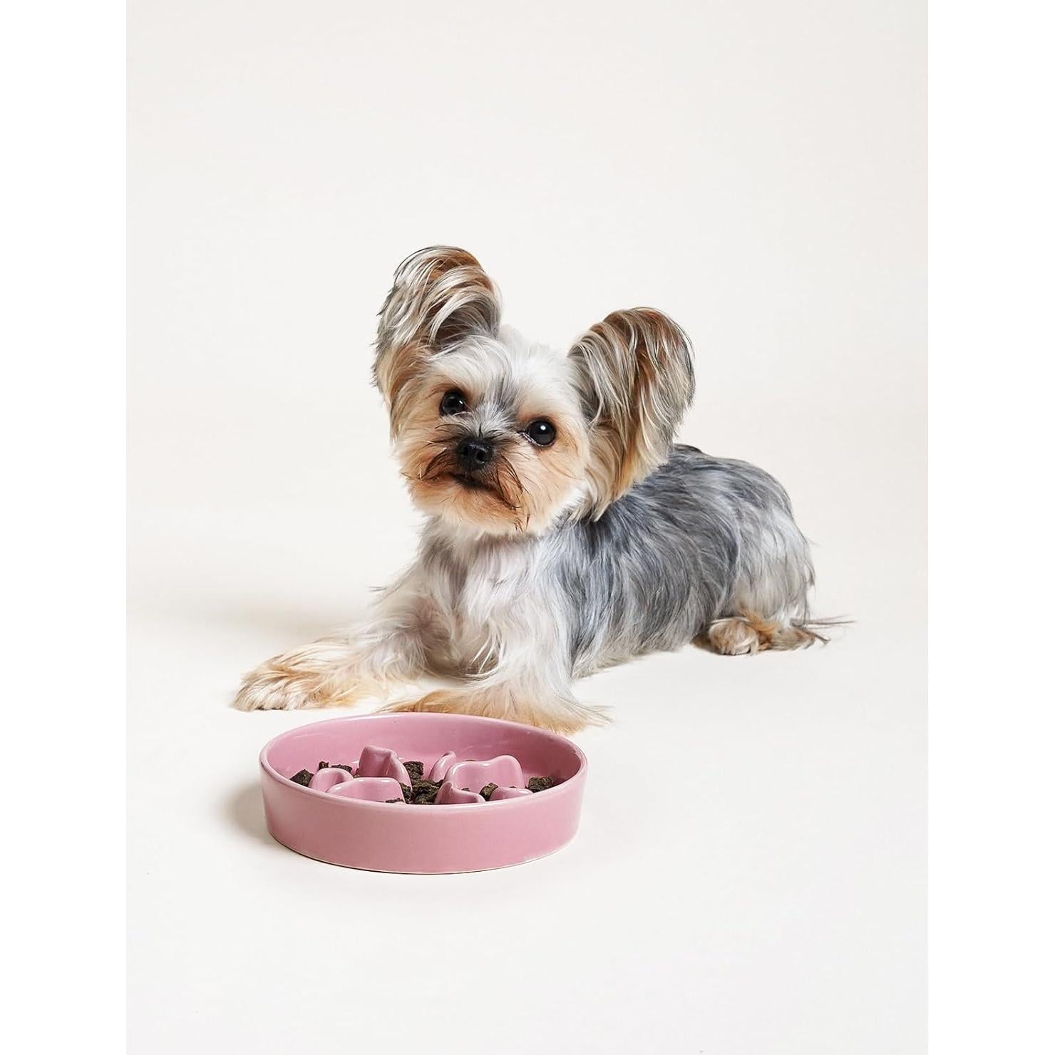 Cuenco de Cerámica Antideslizante LE TAUCI PET 14cm Rosa