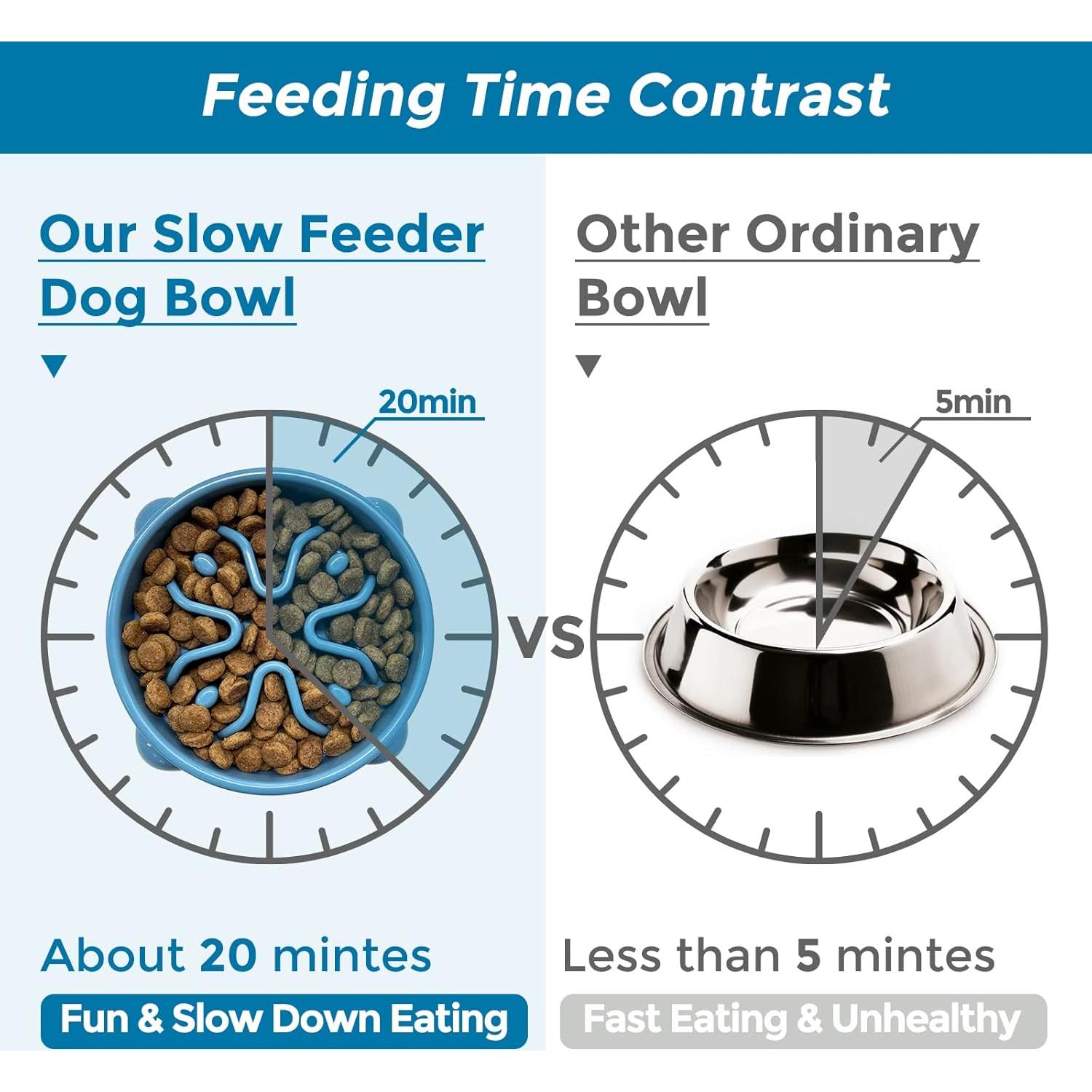Tazón de Alimentación Lenta VANNON Antideslizante 1 Taza