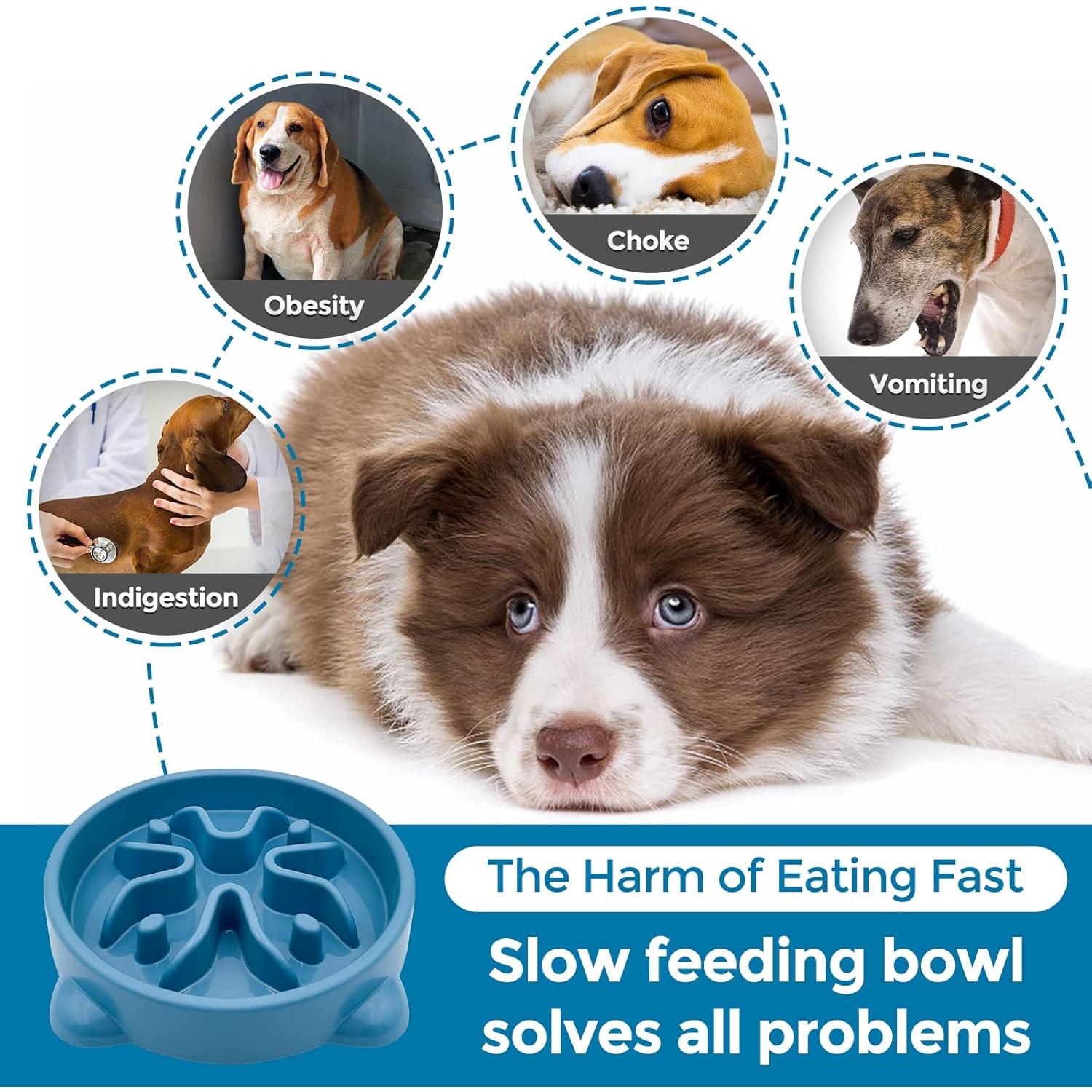 Tazón de Alimentación Lenta VANNON Antideslizante 1 Taza