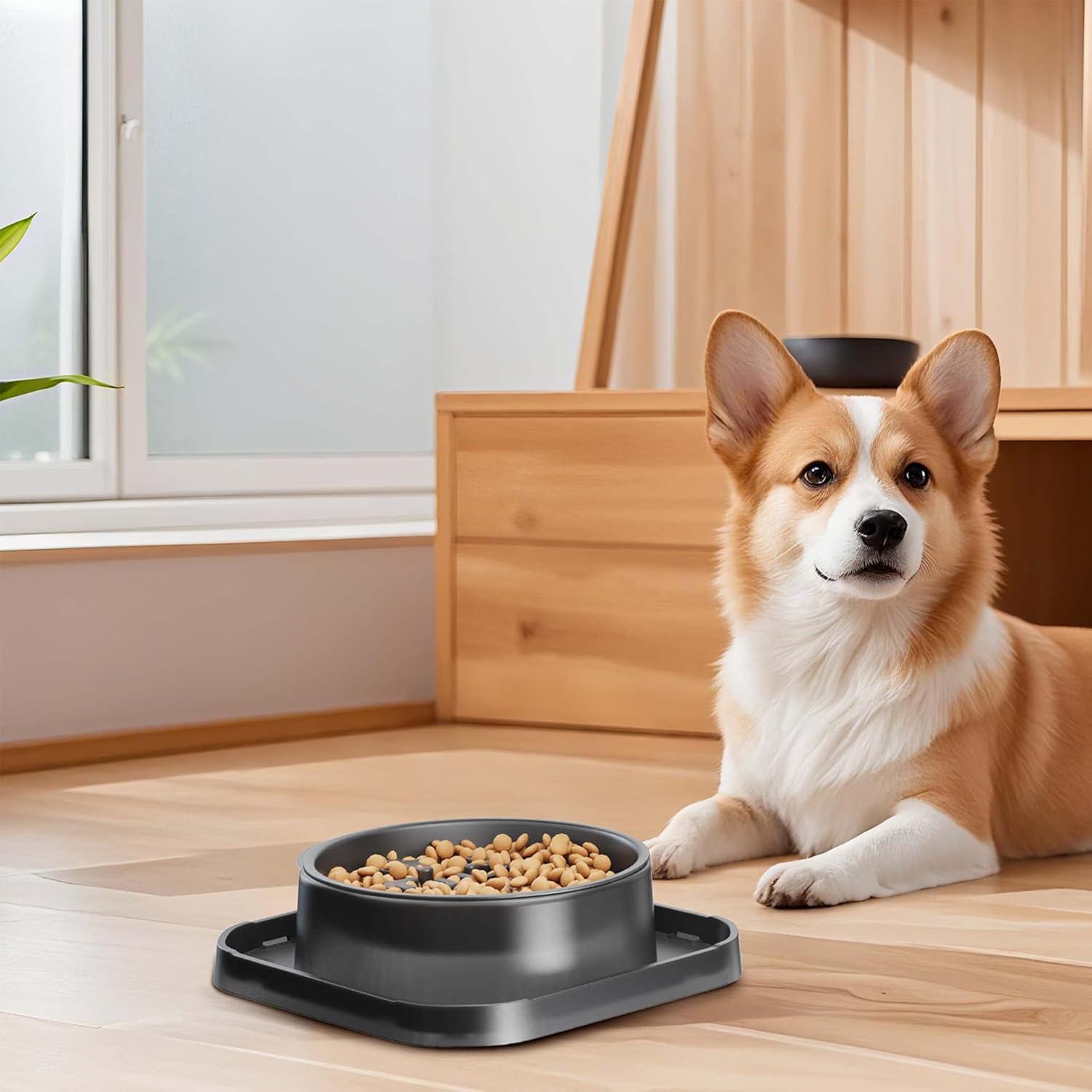 Cuenco de Alimentación Lenta FURNIPLAS 1 Taza Antideslizante