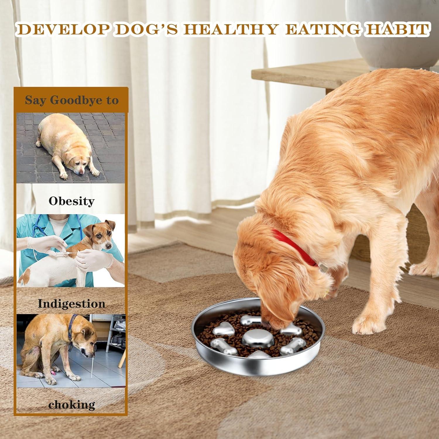 Cuenco de Alimentación Lenta para Perros DEWVIE Acero Inoxidable 23.4cm