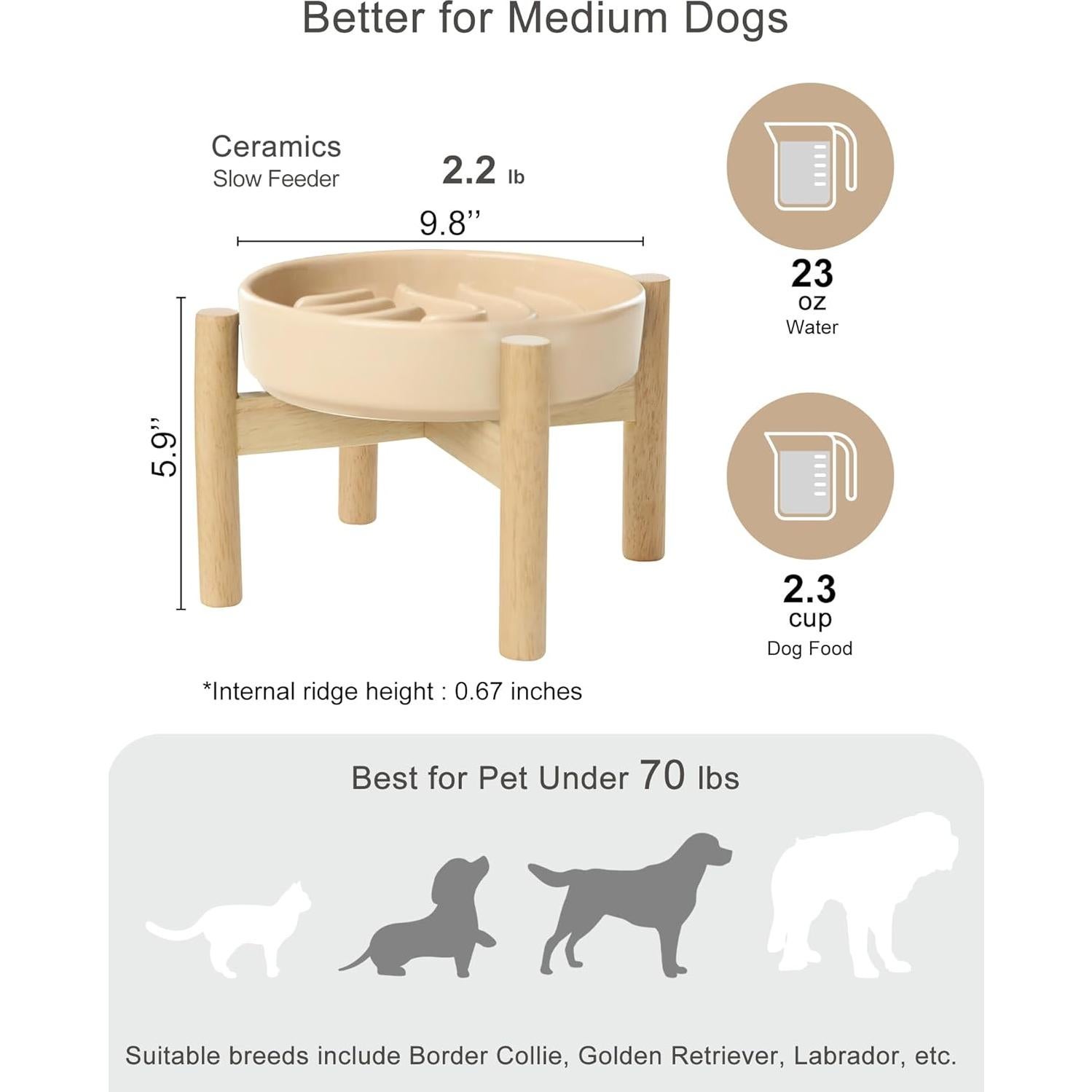 Comedero Lento Cerámica BICOPET Mediano Antideslizante