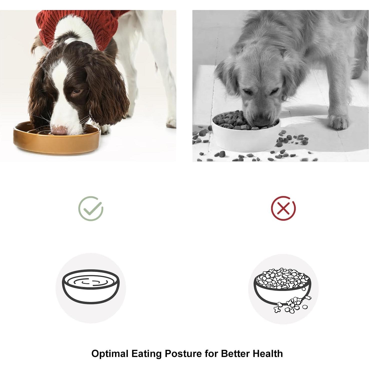 Comedero Lento Cerámica BICOPET Mediano Antideslizante