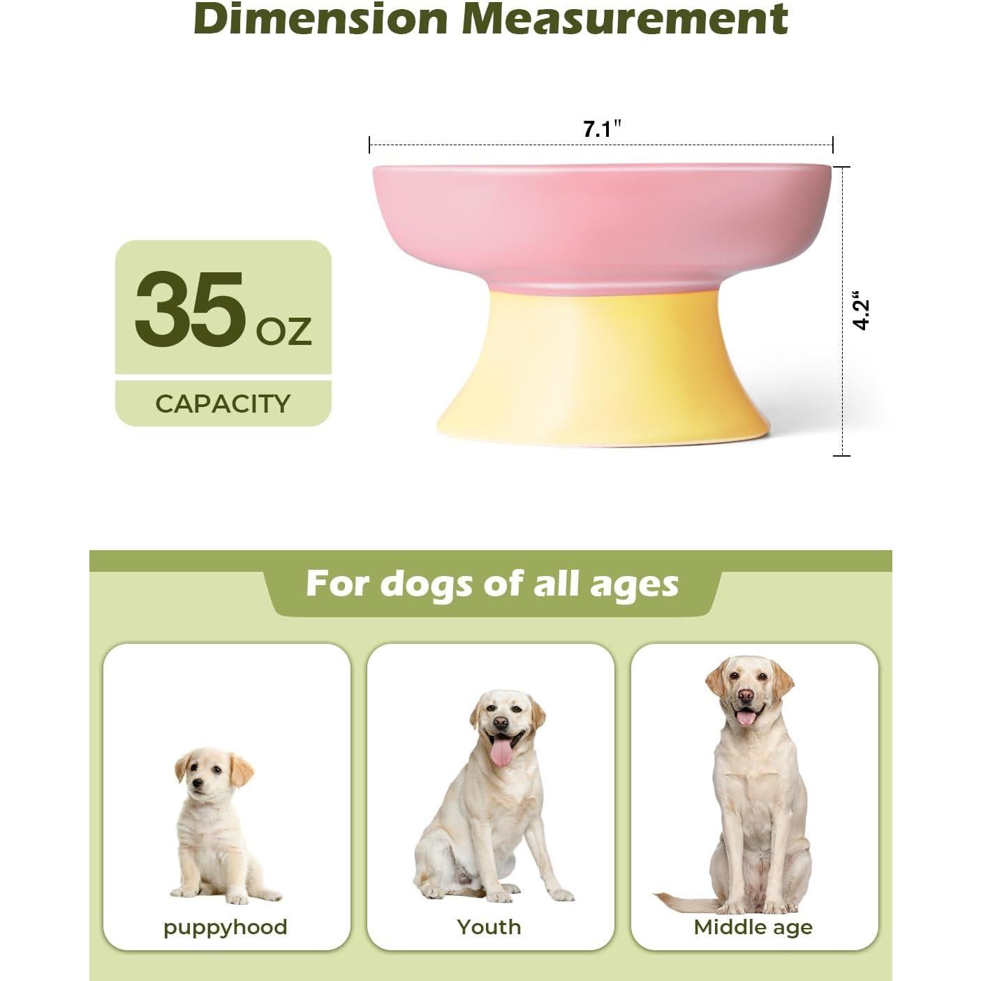 Cuenco Elevado para Perros de Alimentación Lenta RooXchowla 18cm