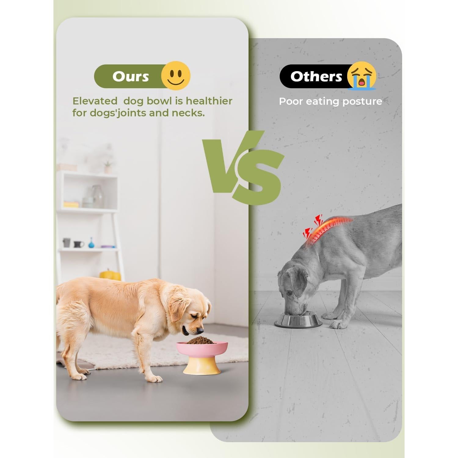 Cuenco Elevado para Perros de Alimentación Lenta RooXchowla 18cm