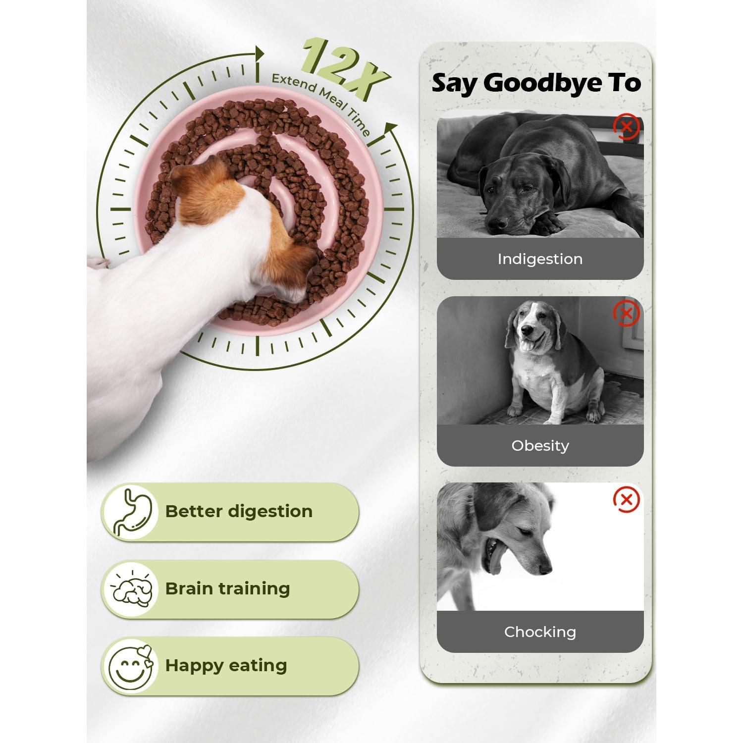 Cuenco Elevado para Perros de Alimentación Lenta RooXchowla 18cm