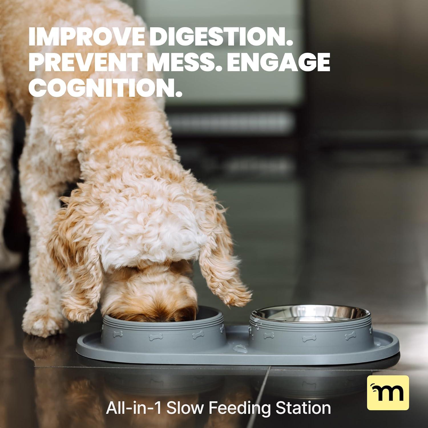 Cuenco Antideslizante Malsipree para Gatos y Perros 425 g