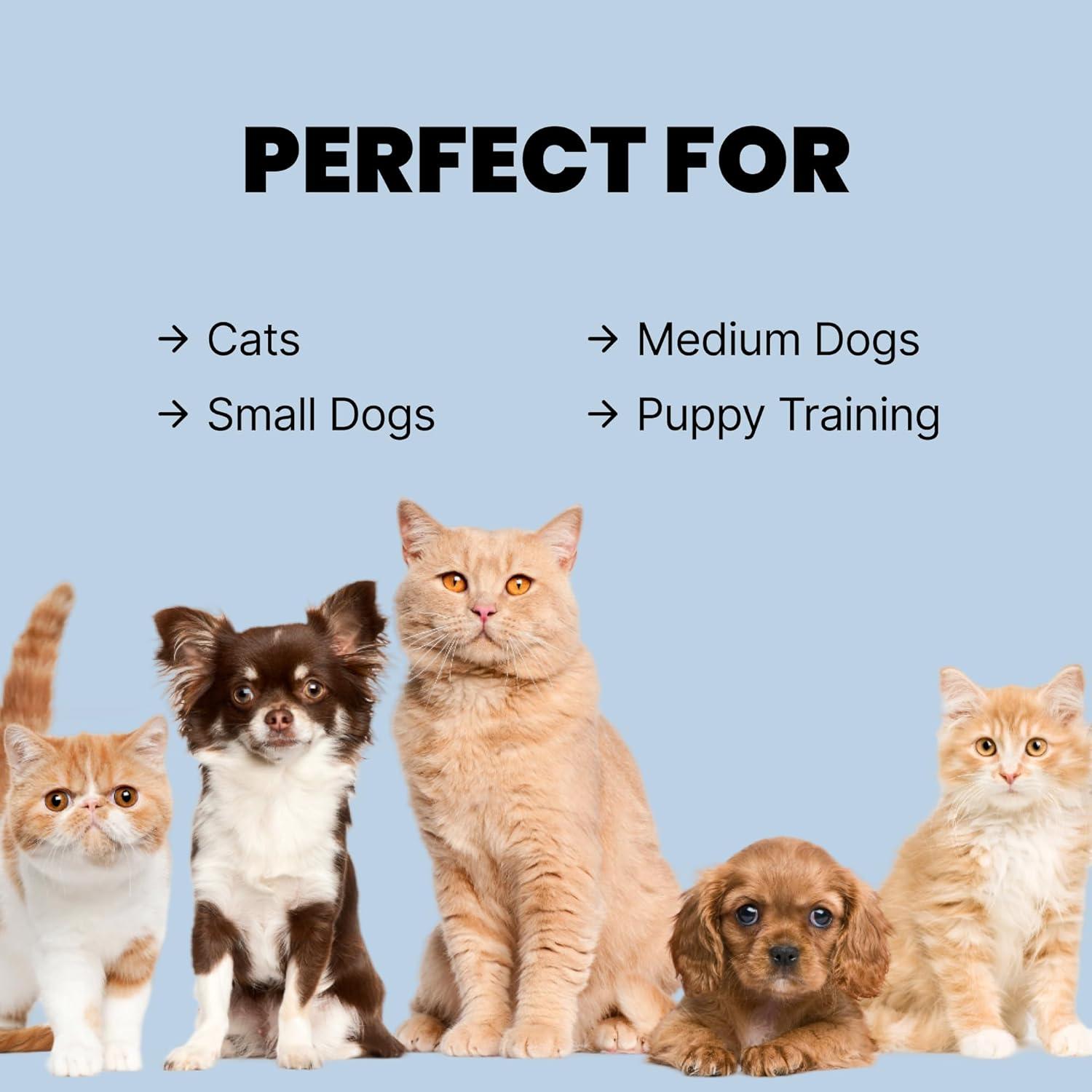 Cuenco Antideslizante Malsipree para Gatos y Perros 425 g