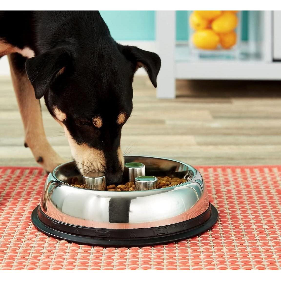 Tazón de Acero Inoxidable QT Dog Brake-Fast 0.47 L Antideslizante