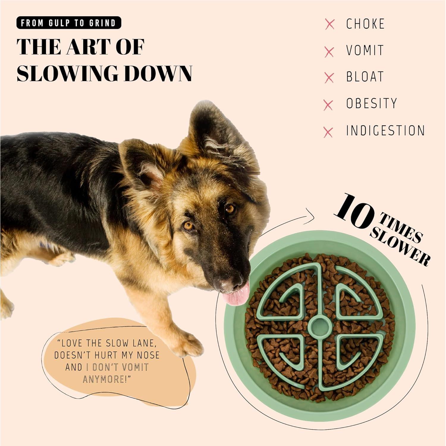 Comedero Lento AVERYDAY 2.5 Tazas para Perros Grandes Verde