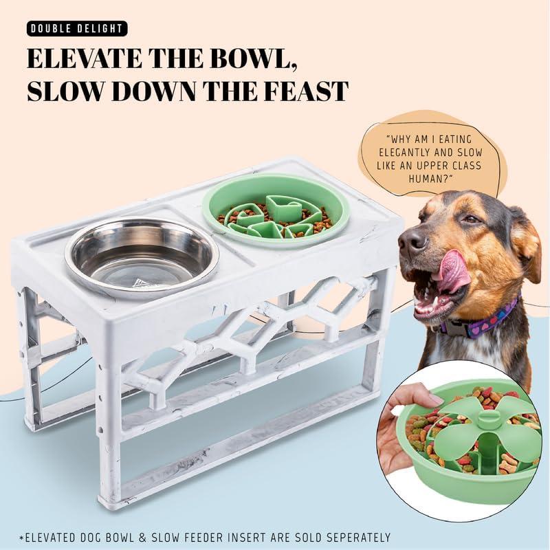 Comedero Lento AVERYDAY 2.5 Tazas para Perros Grandes Verde