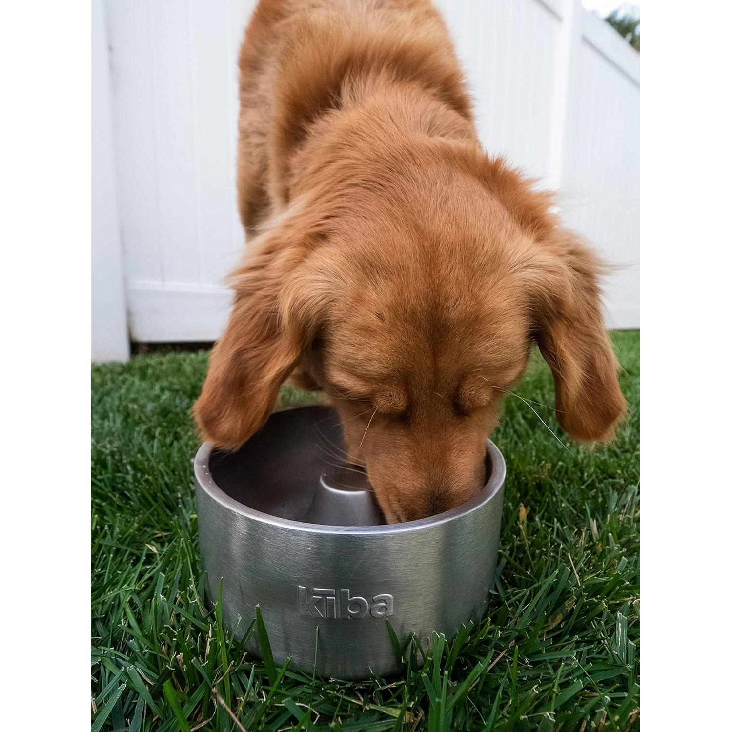 Tazón de Alimentación Lenta Kiba Ozark 64oz Acero Inoxidable